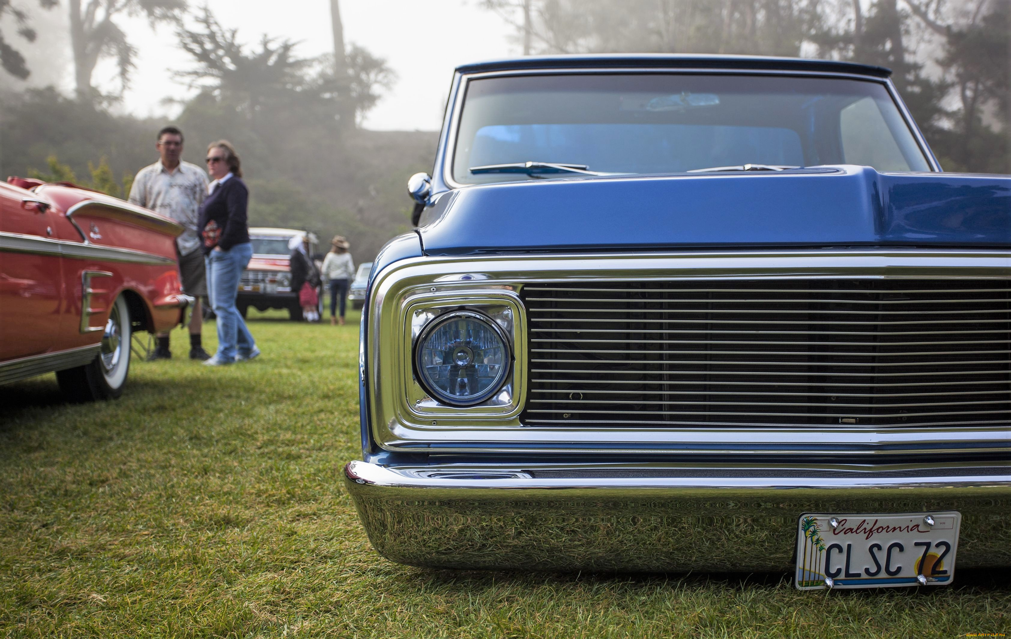 автомобили, выставки, и, уличные, фото, машины, люди, лужайка