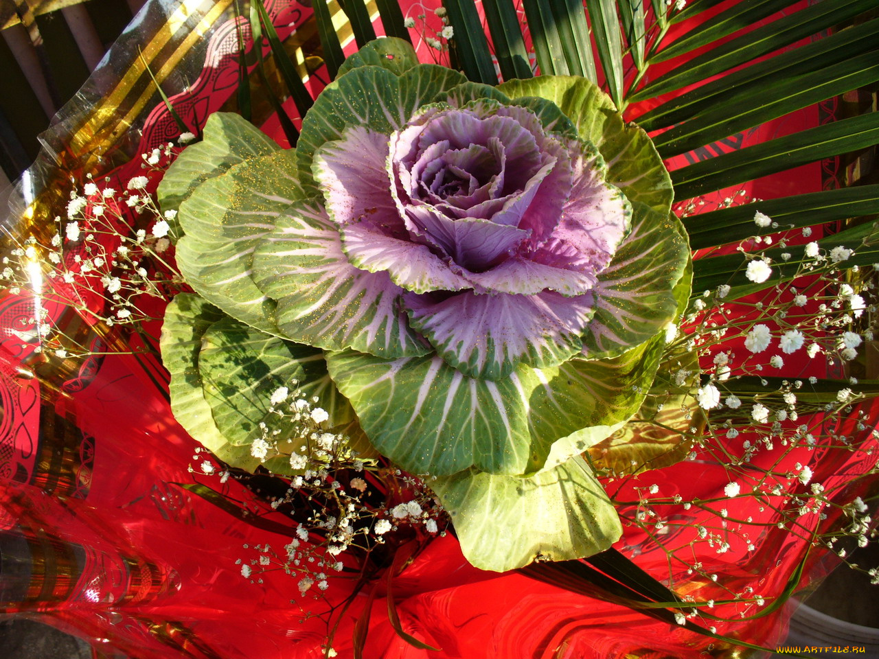 цветы, букеты, композиции