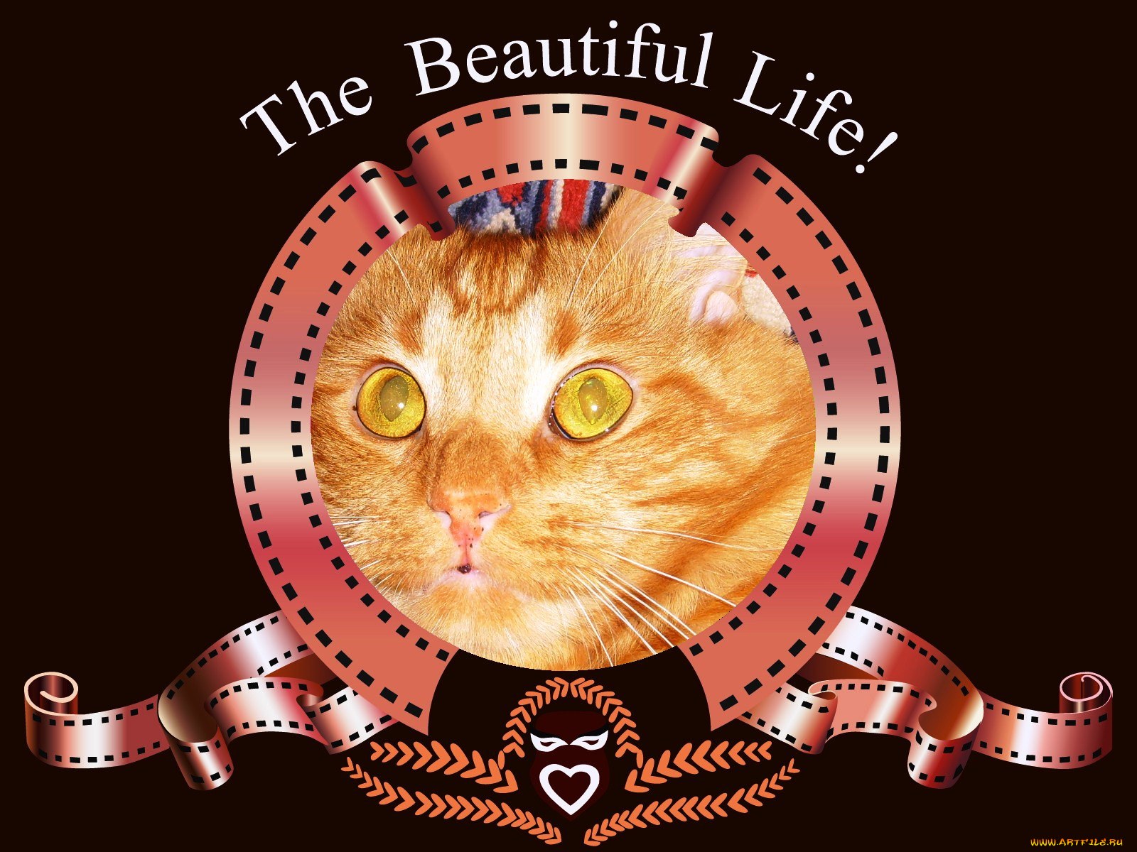 разное, компьютерный, дизайн