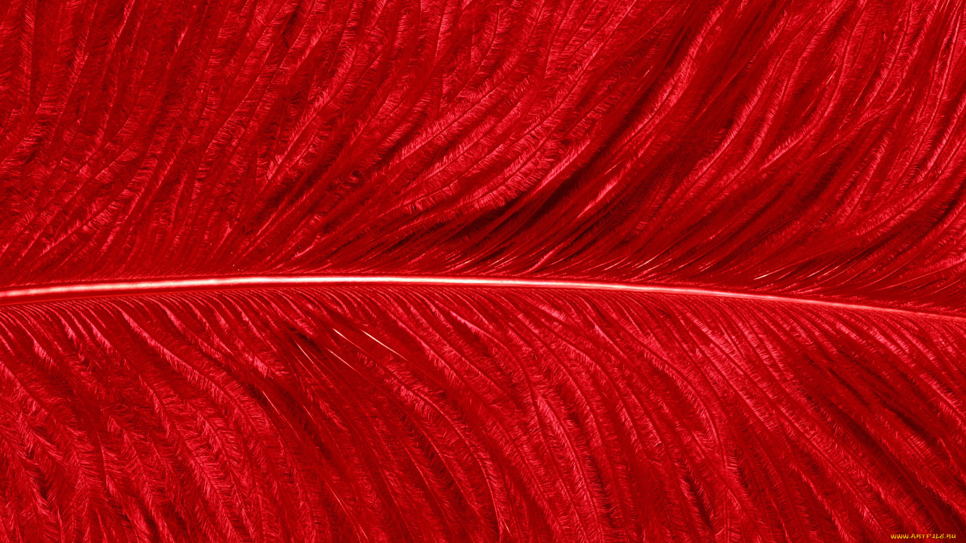 разное, перья