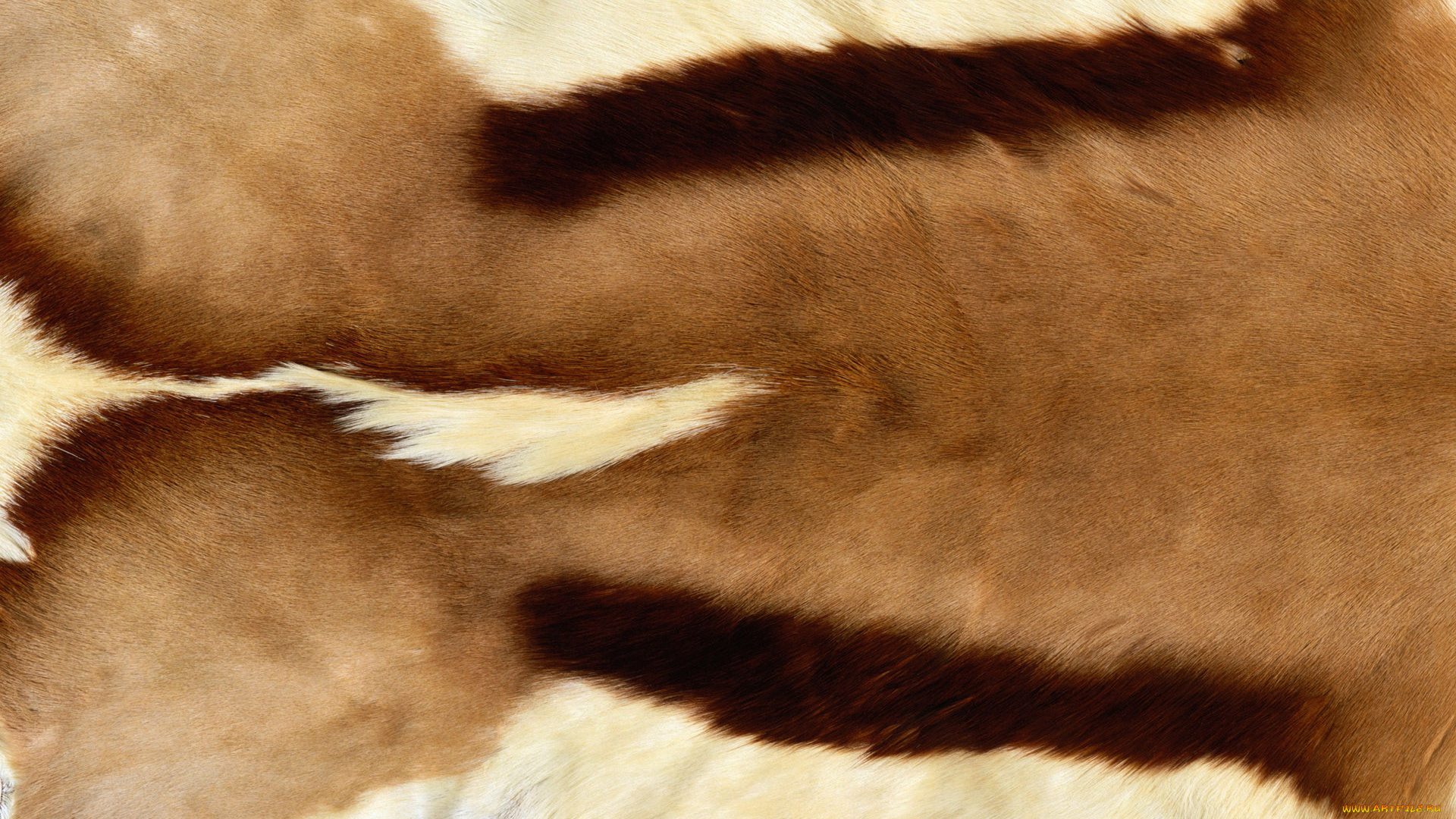 разное, текстуры