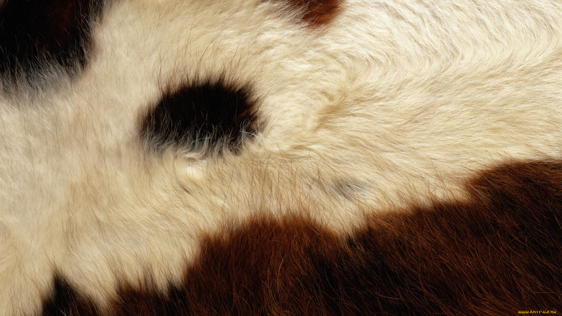 разное, текстуры