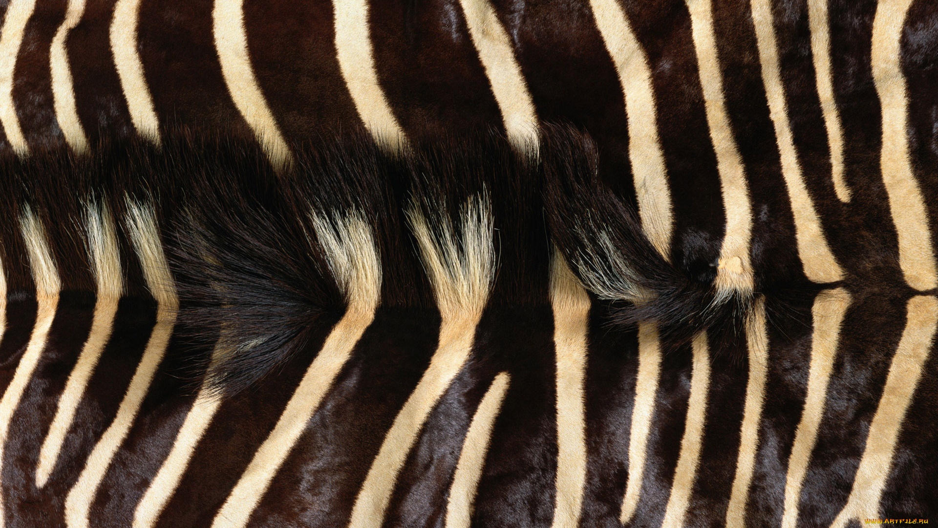 разное, текстуры