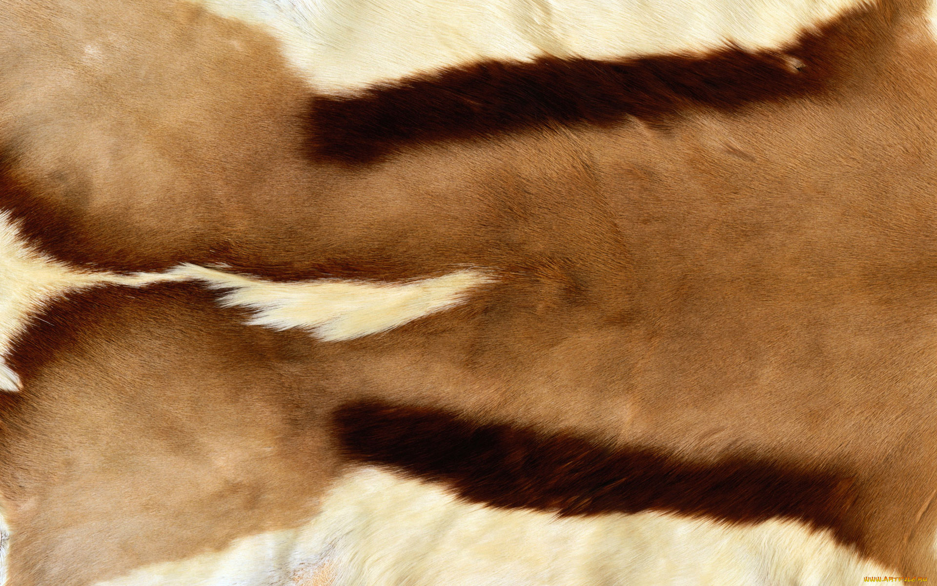 разное, текстуры