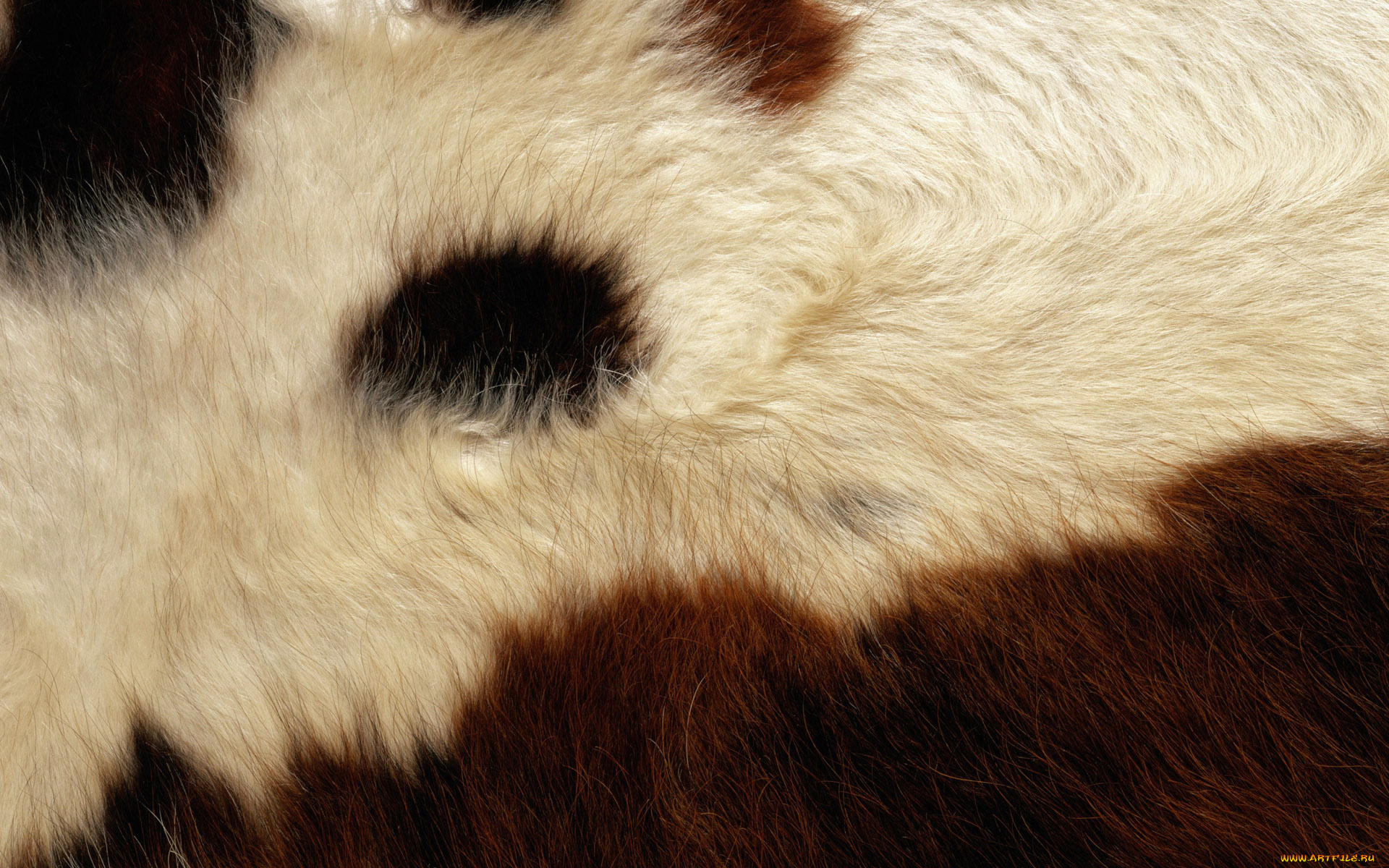 разное, текстуры