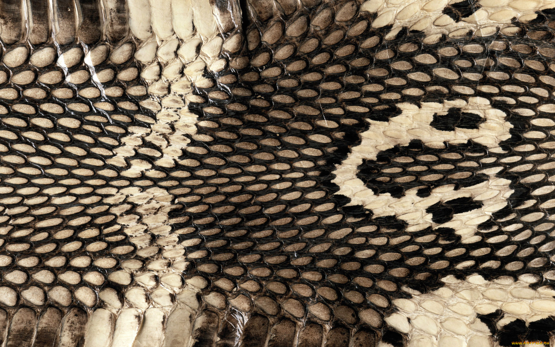 разное, текстуры