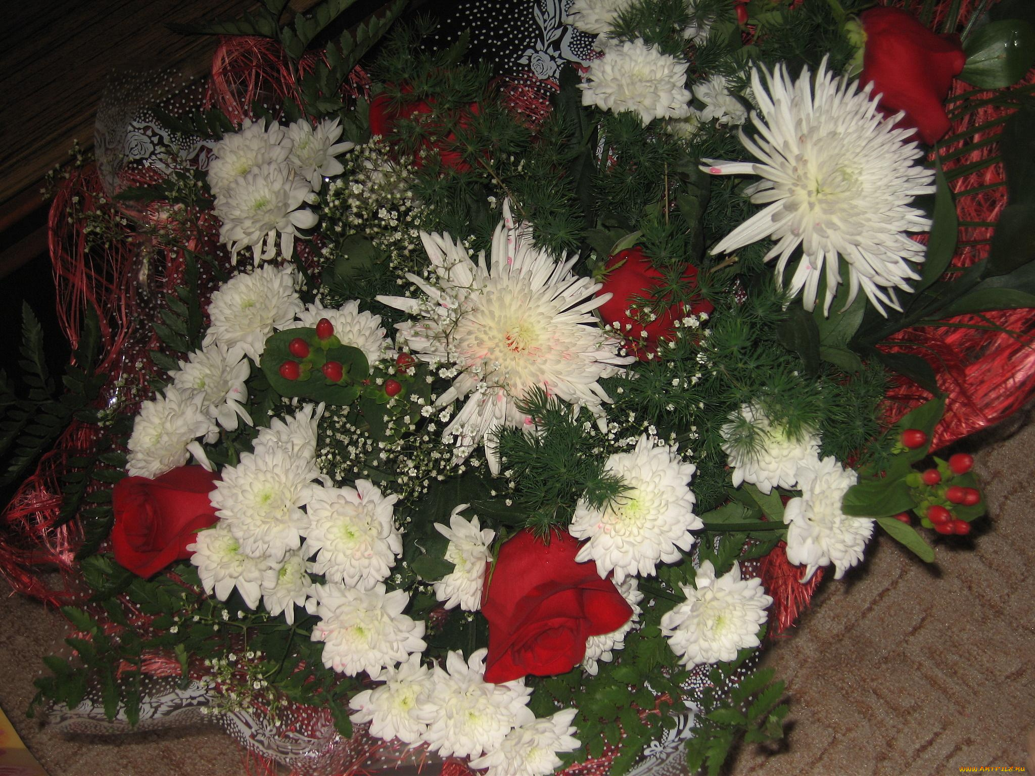 цветы, букеты, композиции