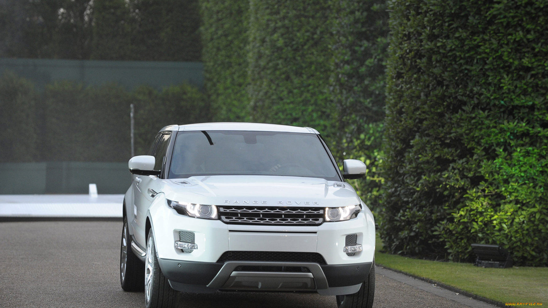 автомобили, range, rover, land