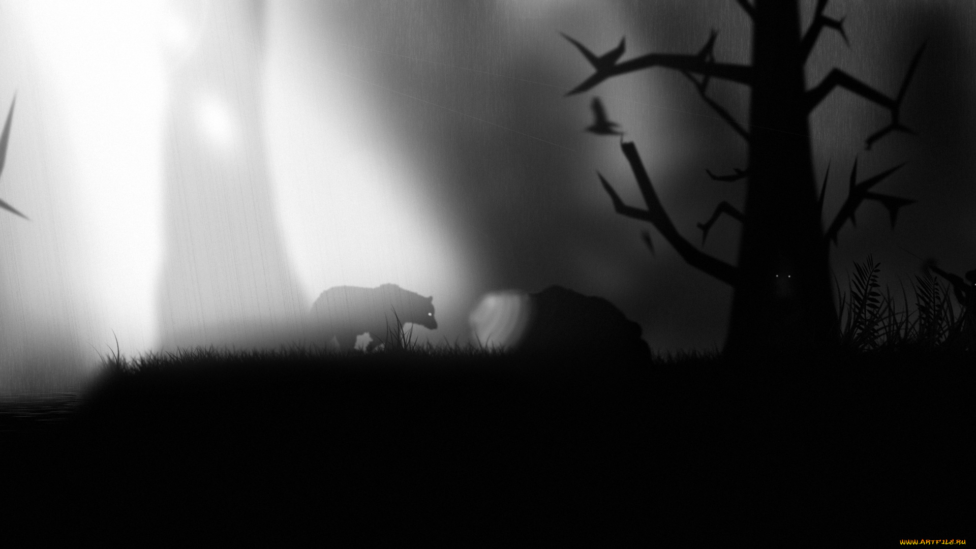 рисованные, животные, медведи, ахотник, лес, медведь