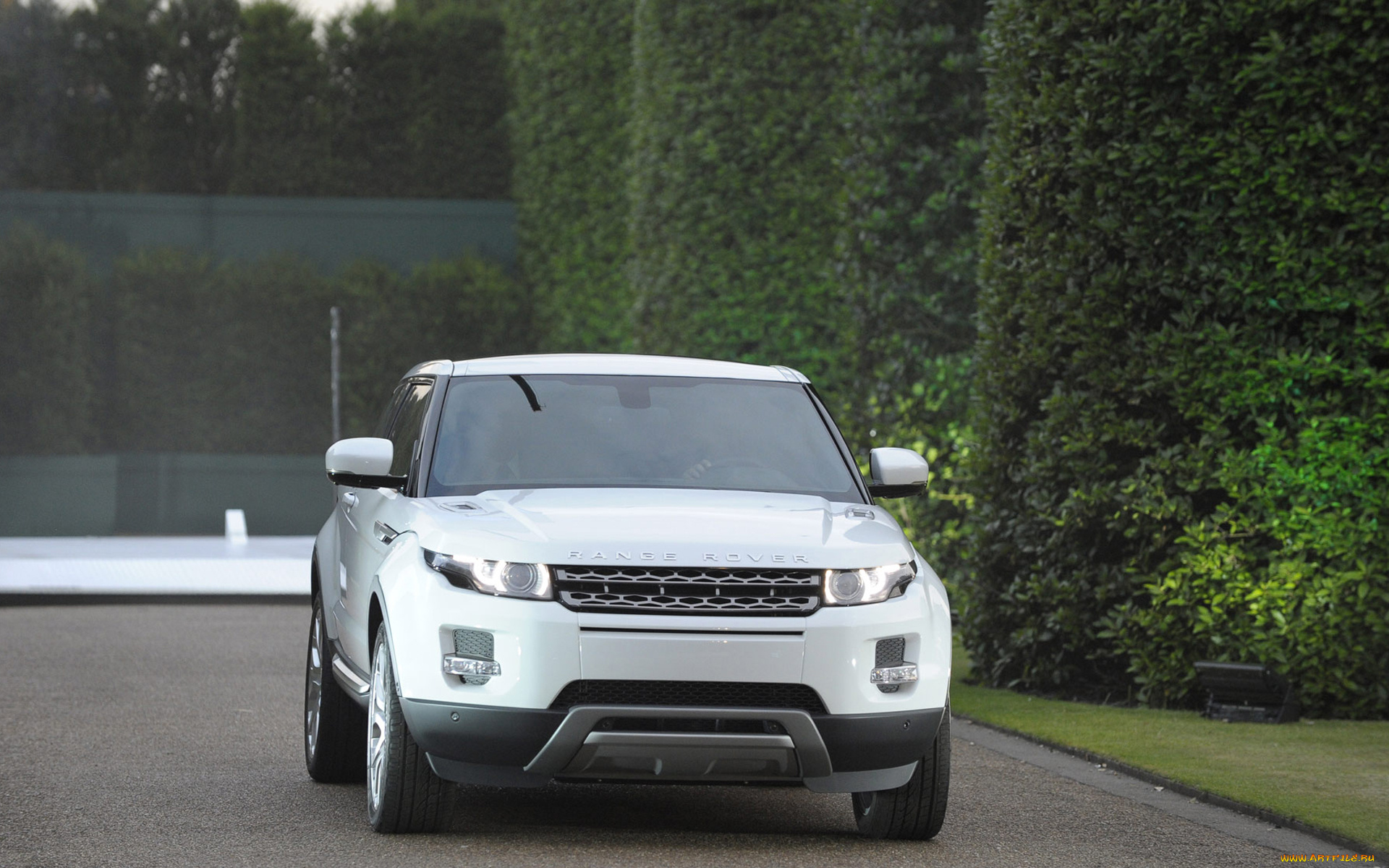 автомобили, range, rover, land