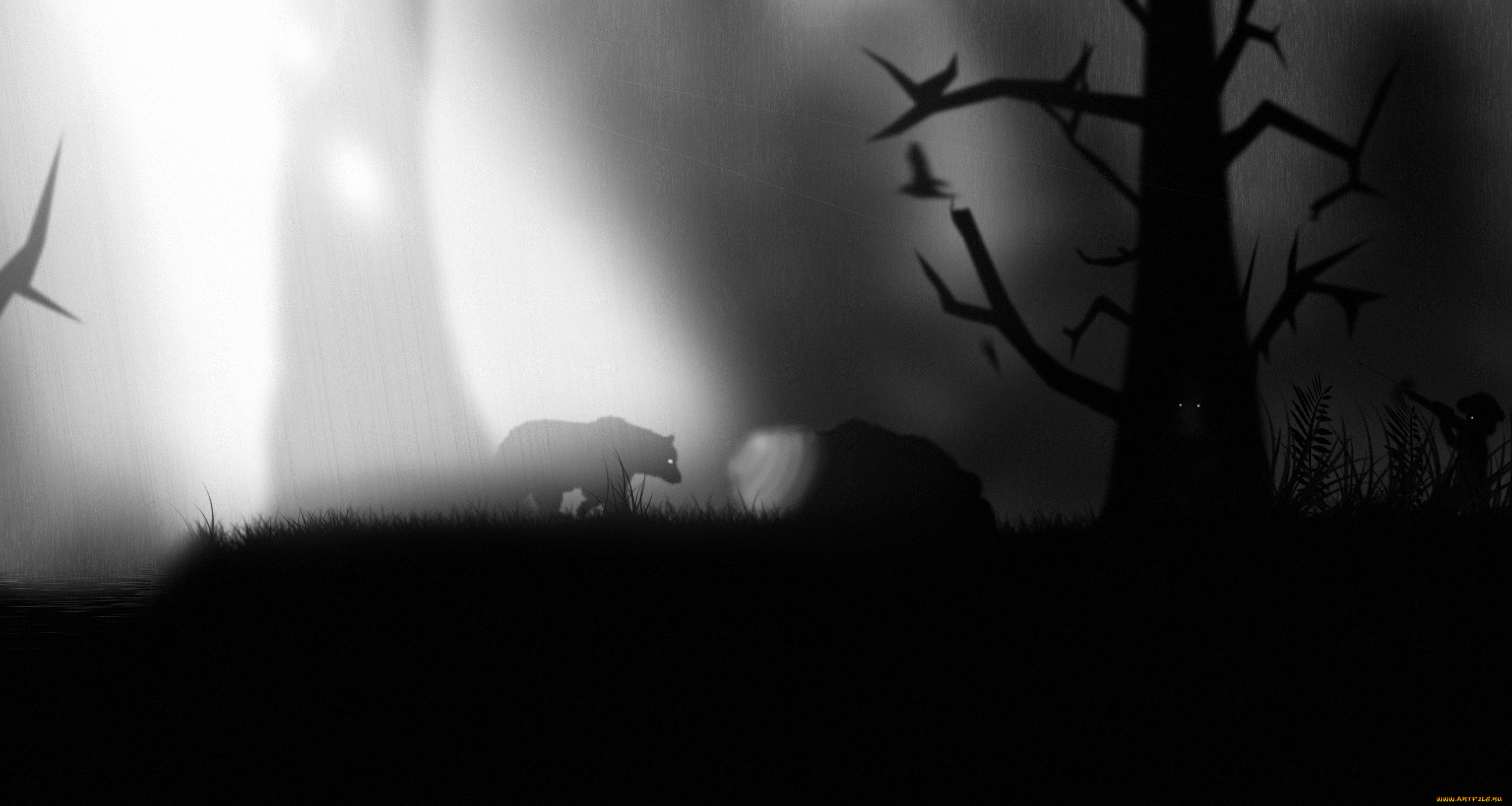 рисованные, животные, медведи, ахотник, лес, медведь