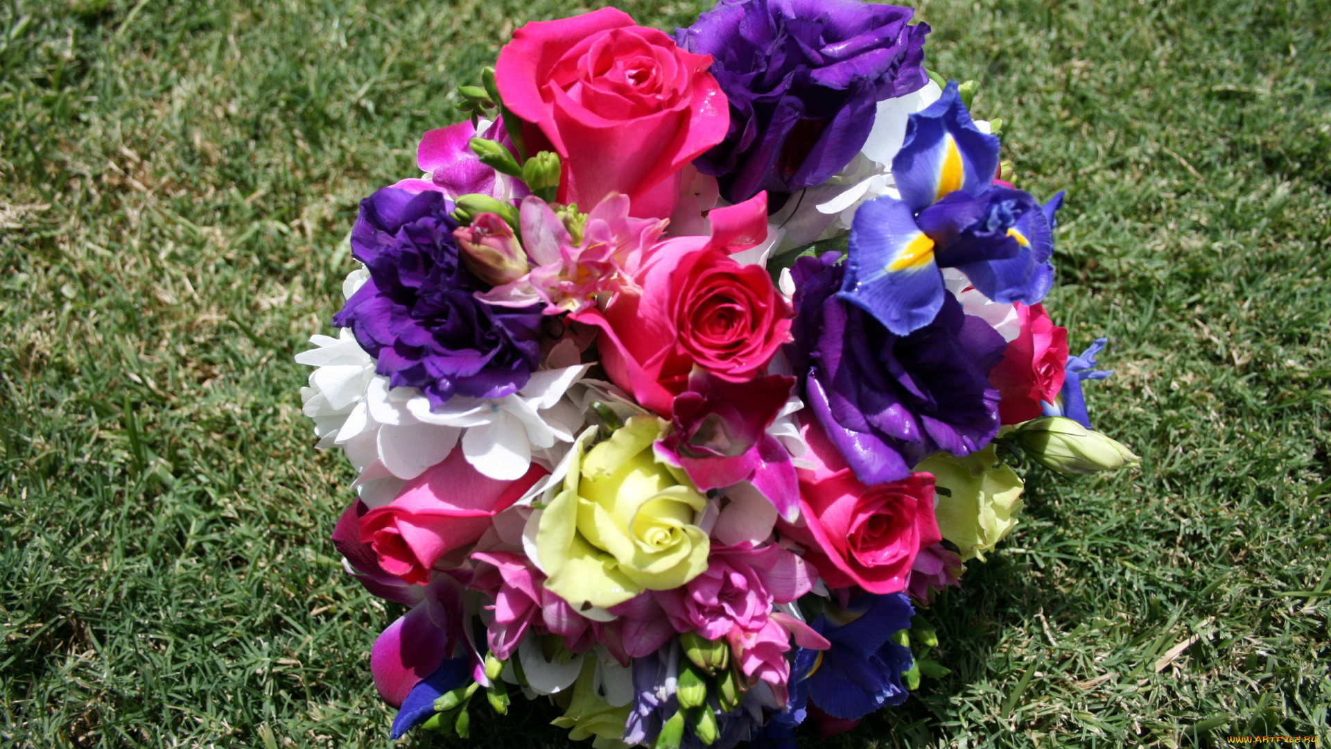 цветы, букеты, композиции, ирисы, розы, трава, анемоны, букет