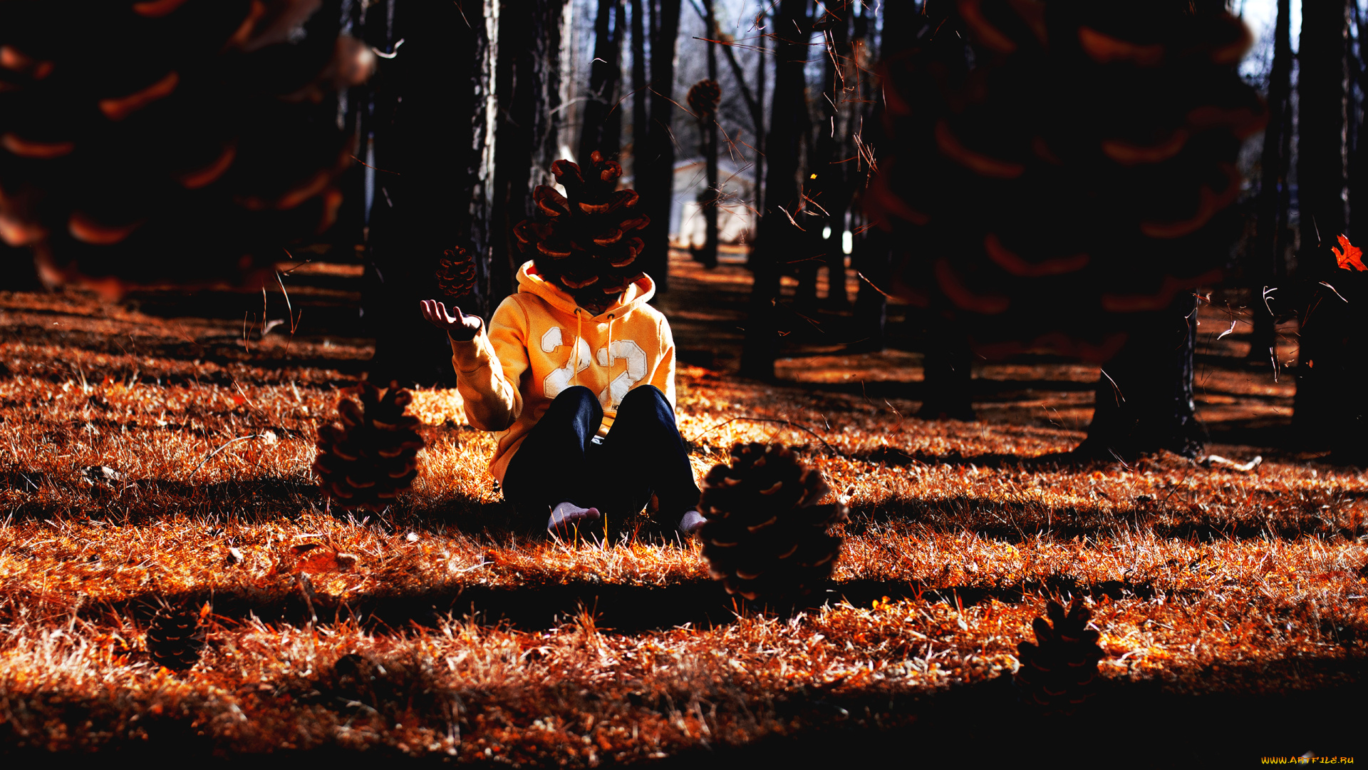 разное, компьютерный, дизайн, балахон, трава, парень, деревья, шишки, лес, джинсы