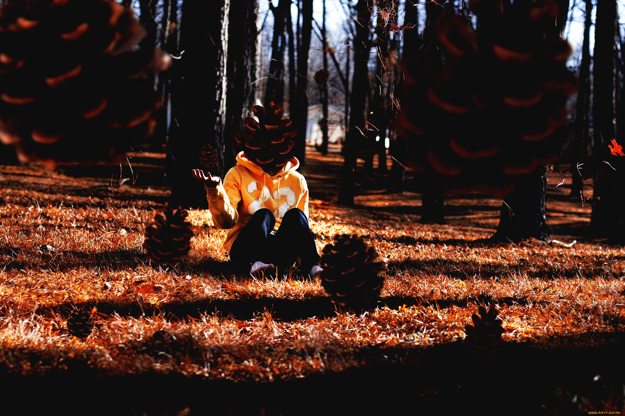 разное, компьютерный, дизайн, балахон, трава, парень, деревья, шишки, лес, джинсы