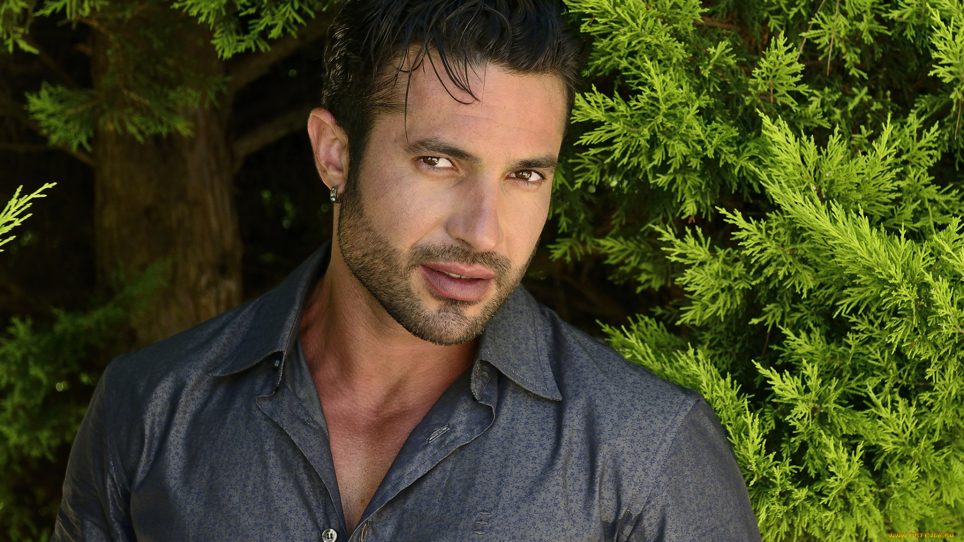 мужчины, -, unsort, взгляд, лицо