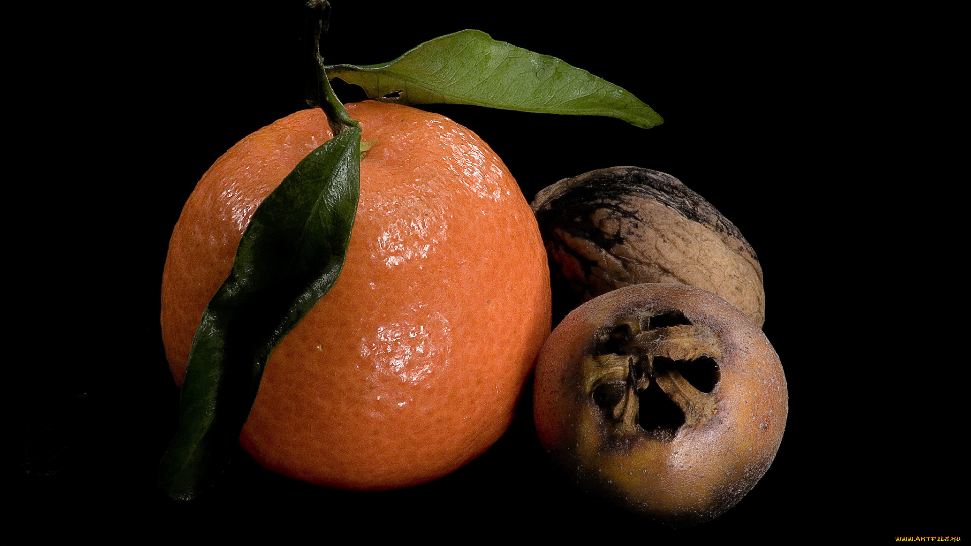 еда, разное, орехи, апельсин