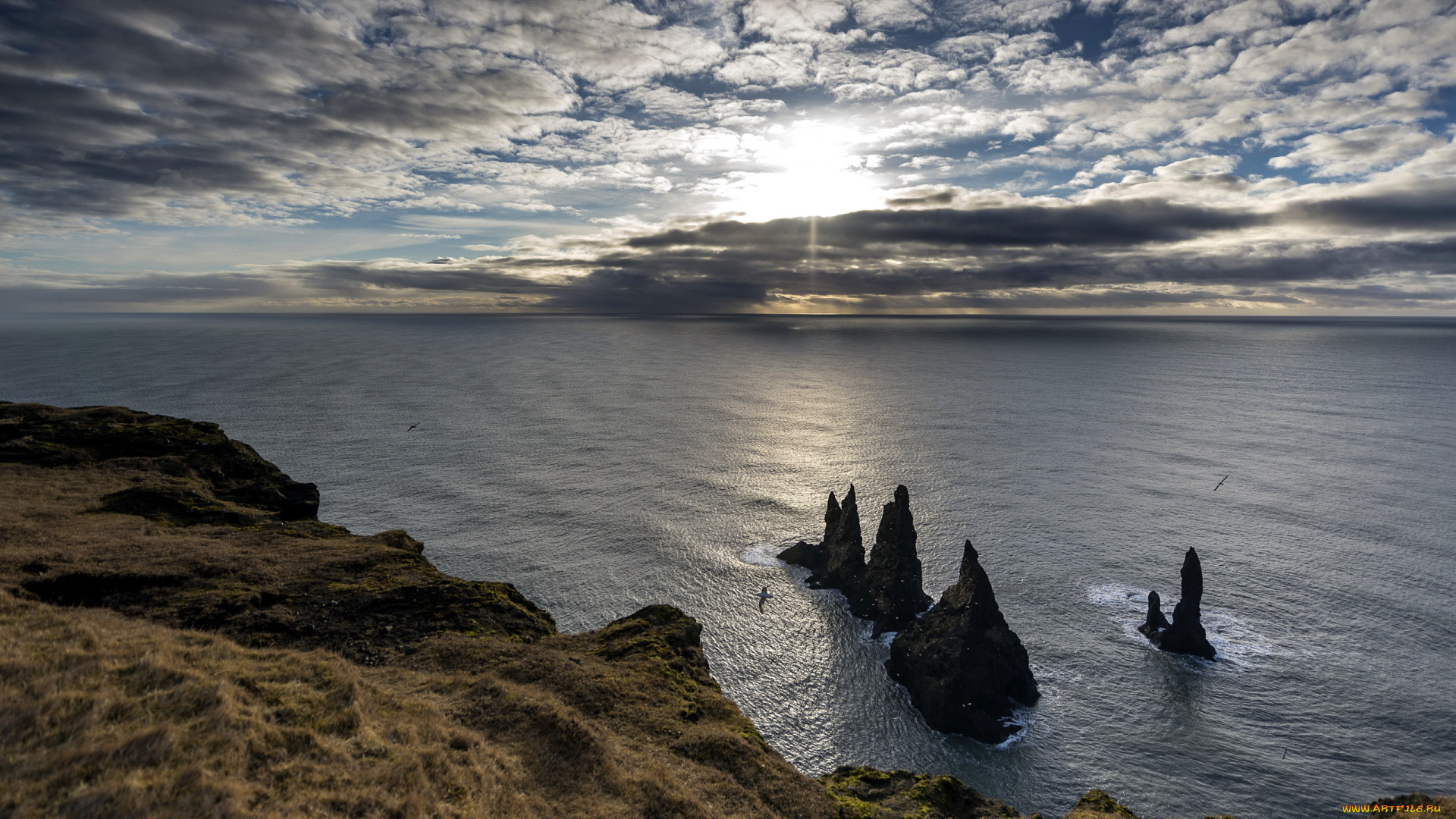 природа, побережье, море, пейзаж, берег, утро