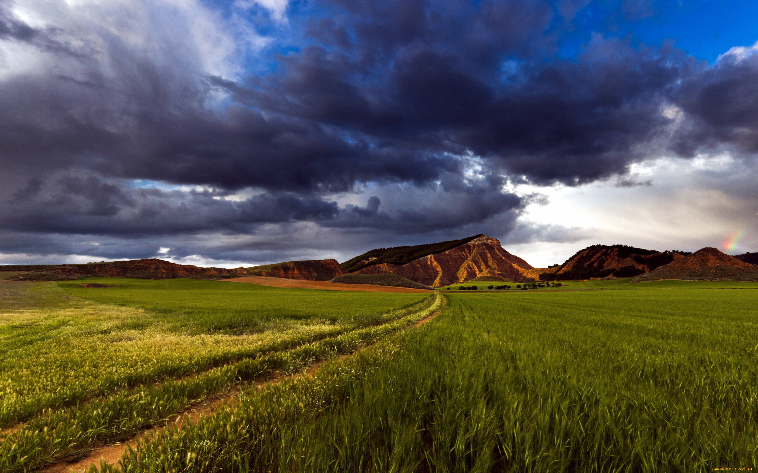 природа, поля, небо, поле