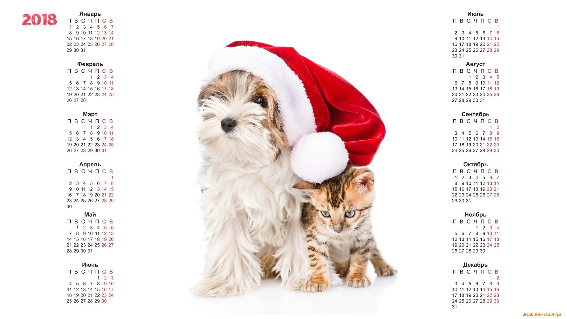 календари, животные, шапка, собака