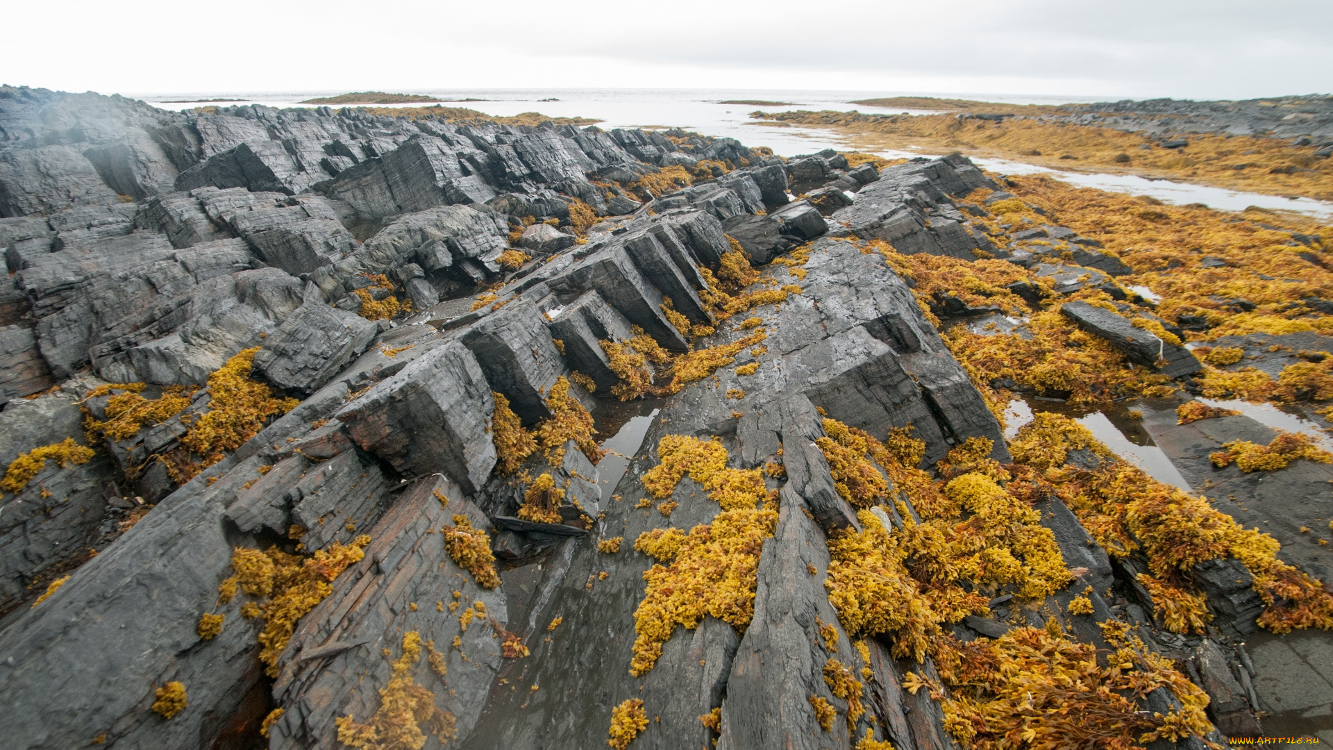 полуостров, рыбачий, природа, побережье, полуостров, рыбачий, россия, скалы