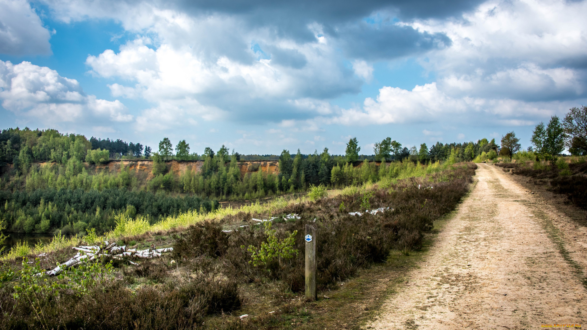 природа, дороги, простор