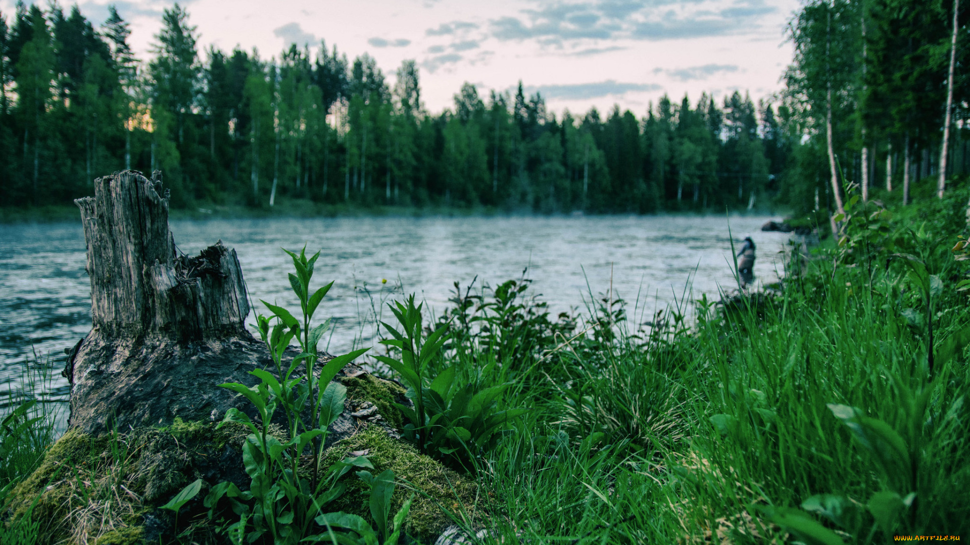 природа, реки, озера, простор