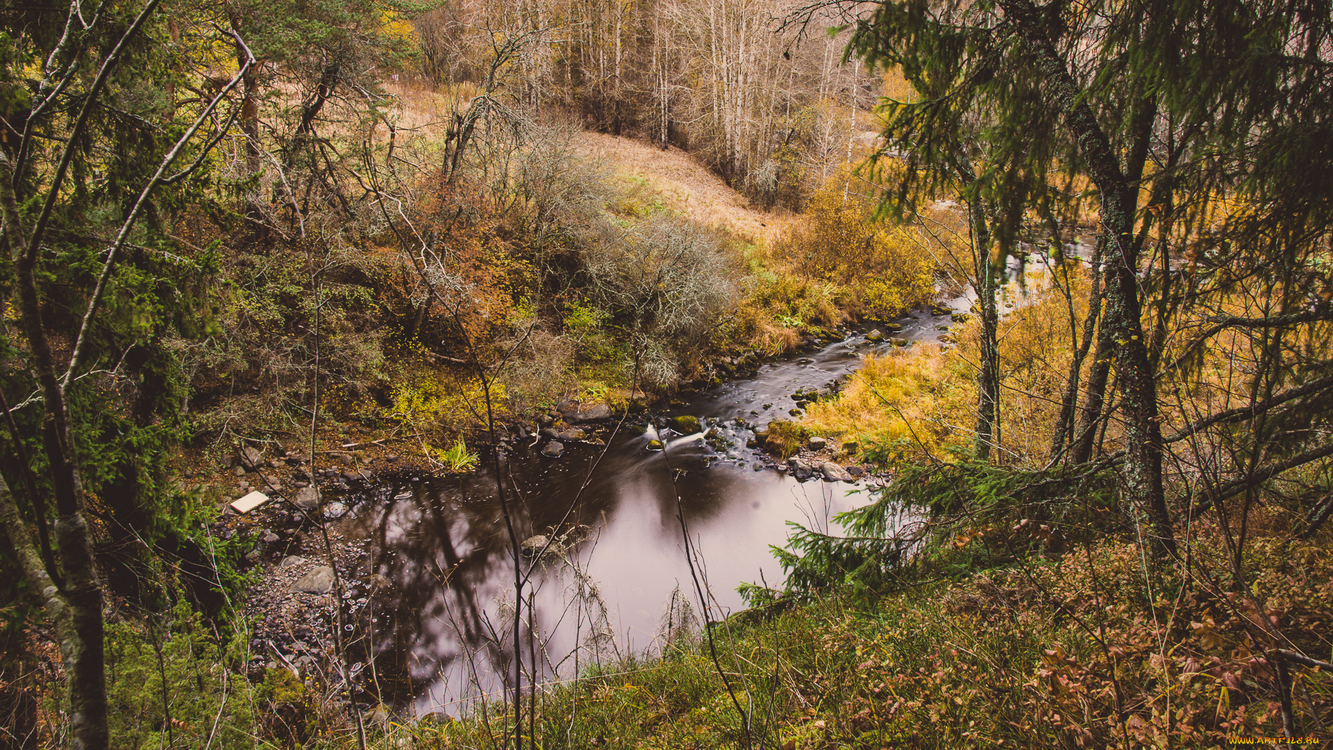 природа, реки, озера, простор