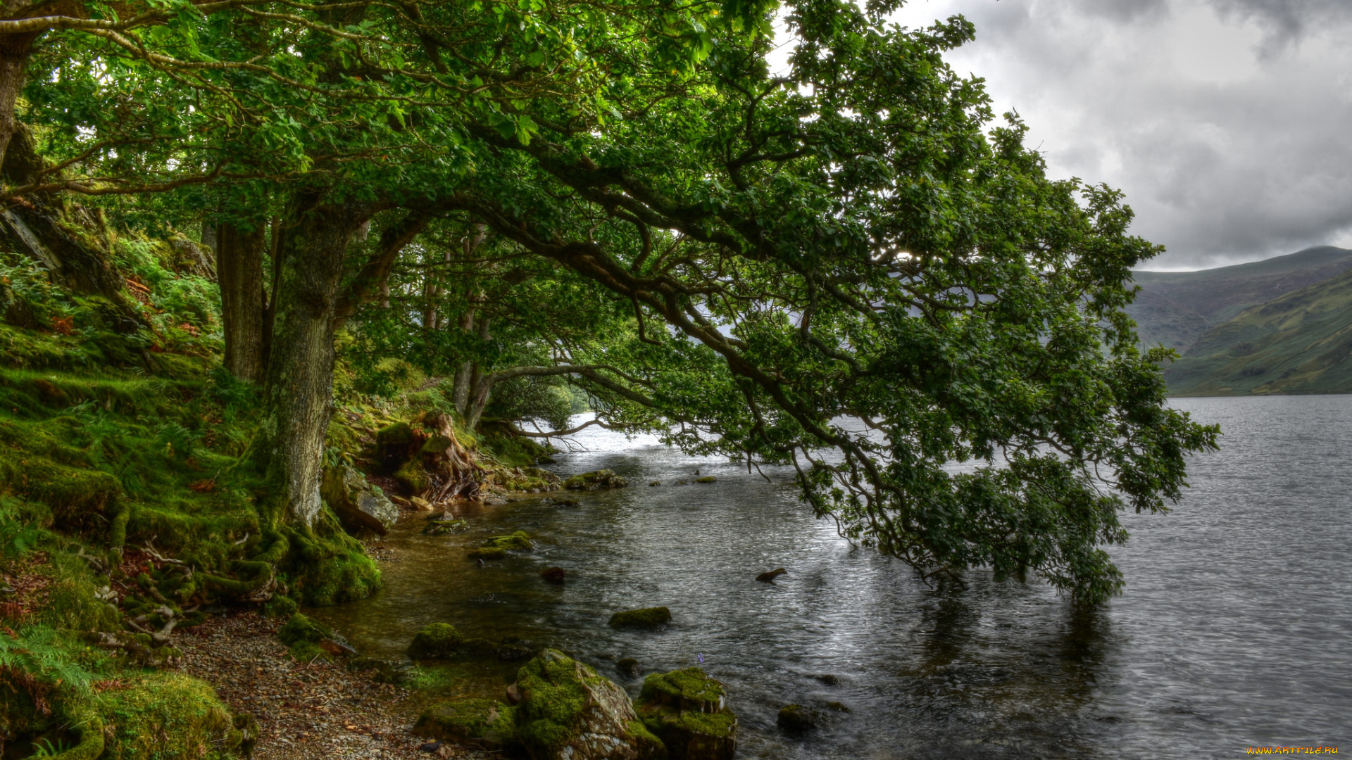 природа, реки, озера, простор