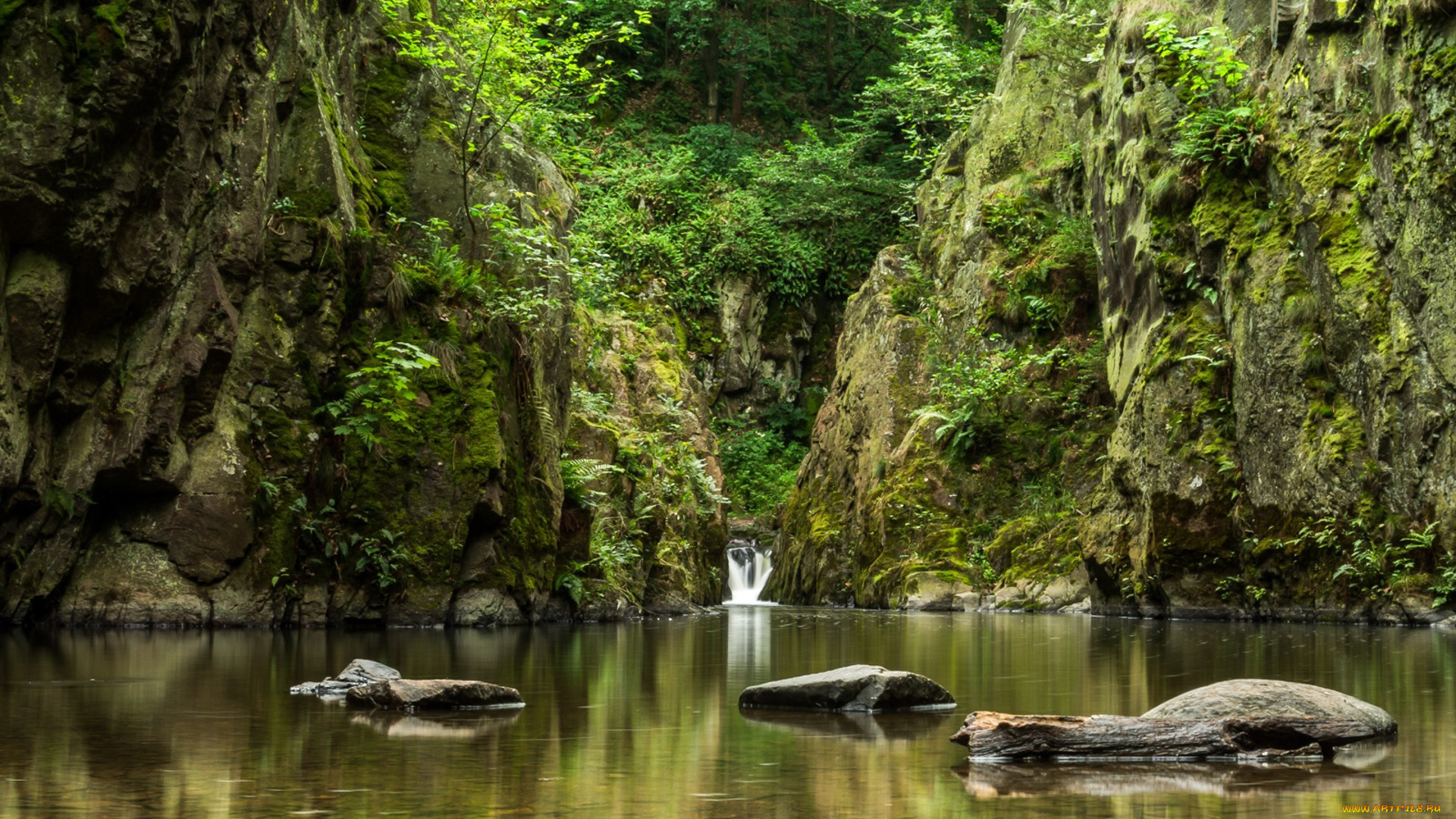 природа, реки, озера, простор