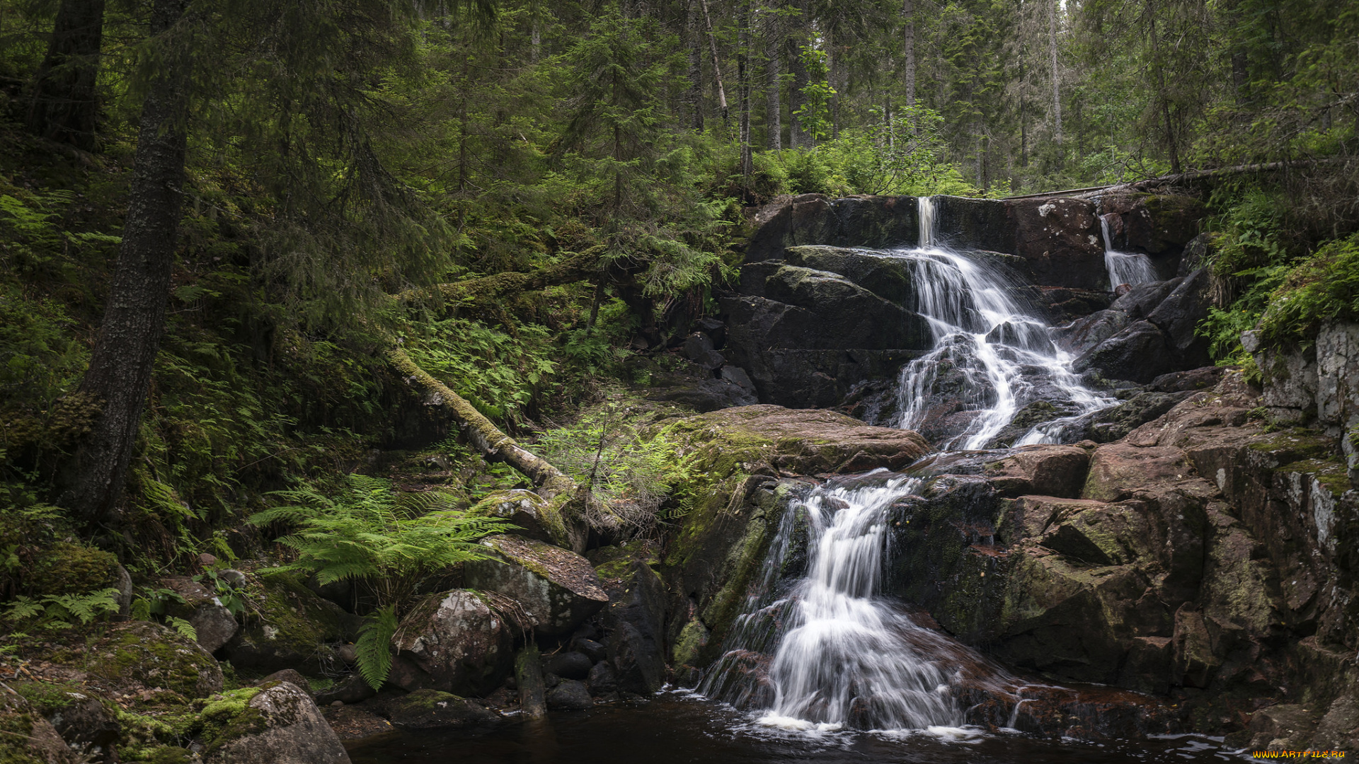 природа, реки, озера, простор