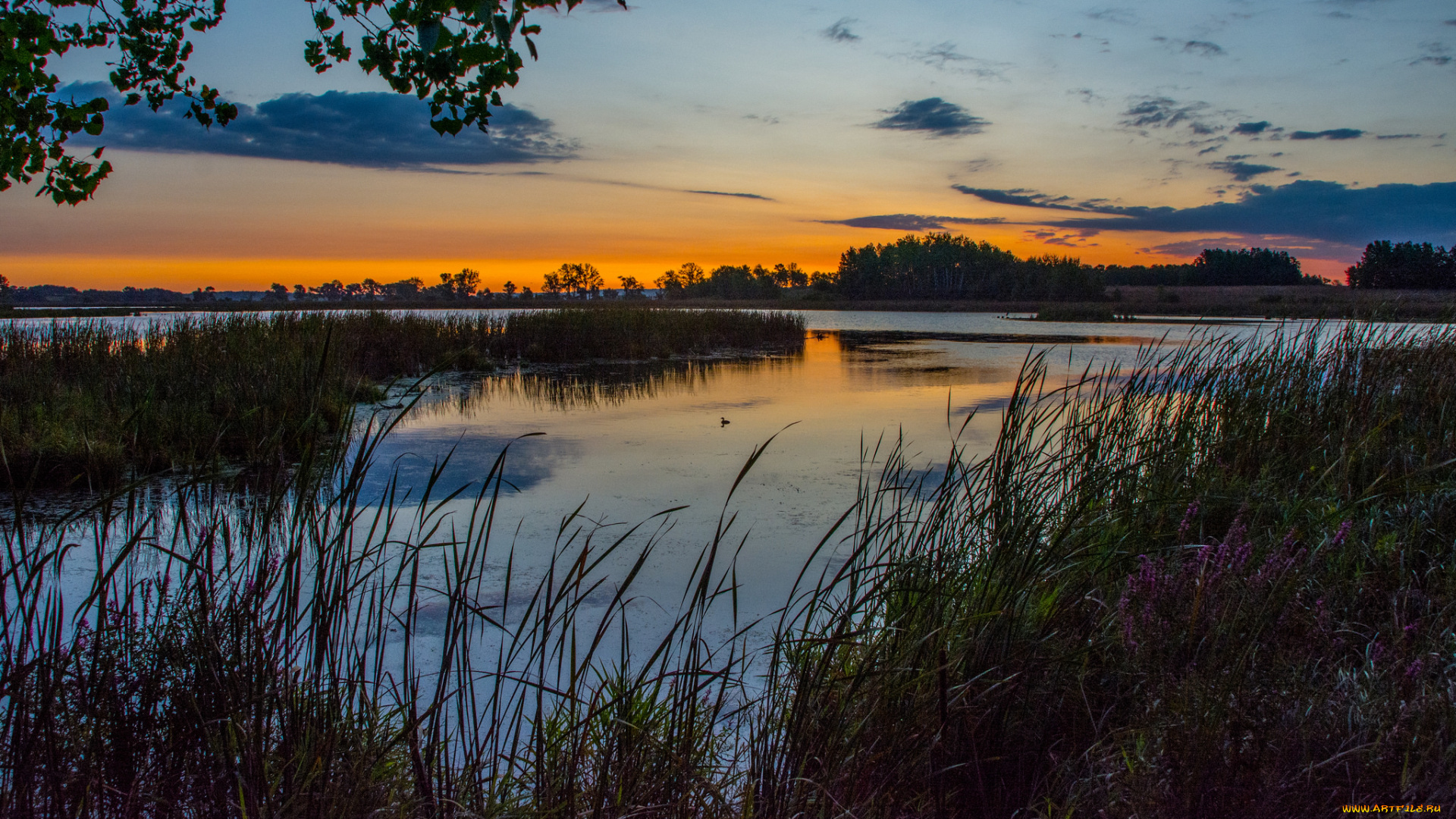 природа, реки, озера, простор