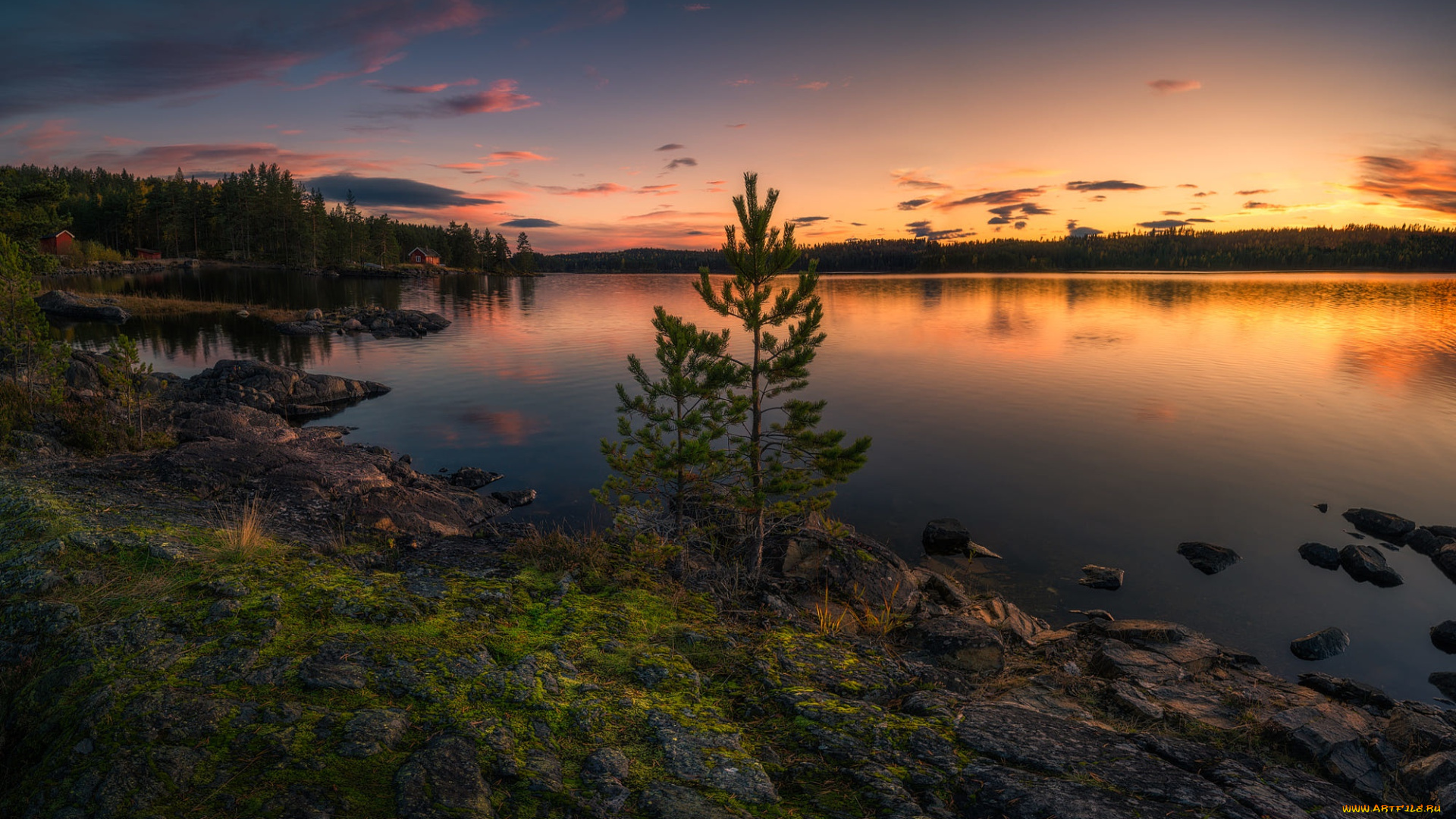 природа, восходы, закаты, two, trees, ringerike, norway, норвегия