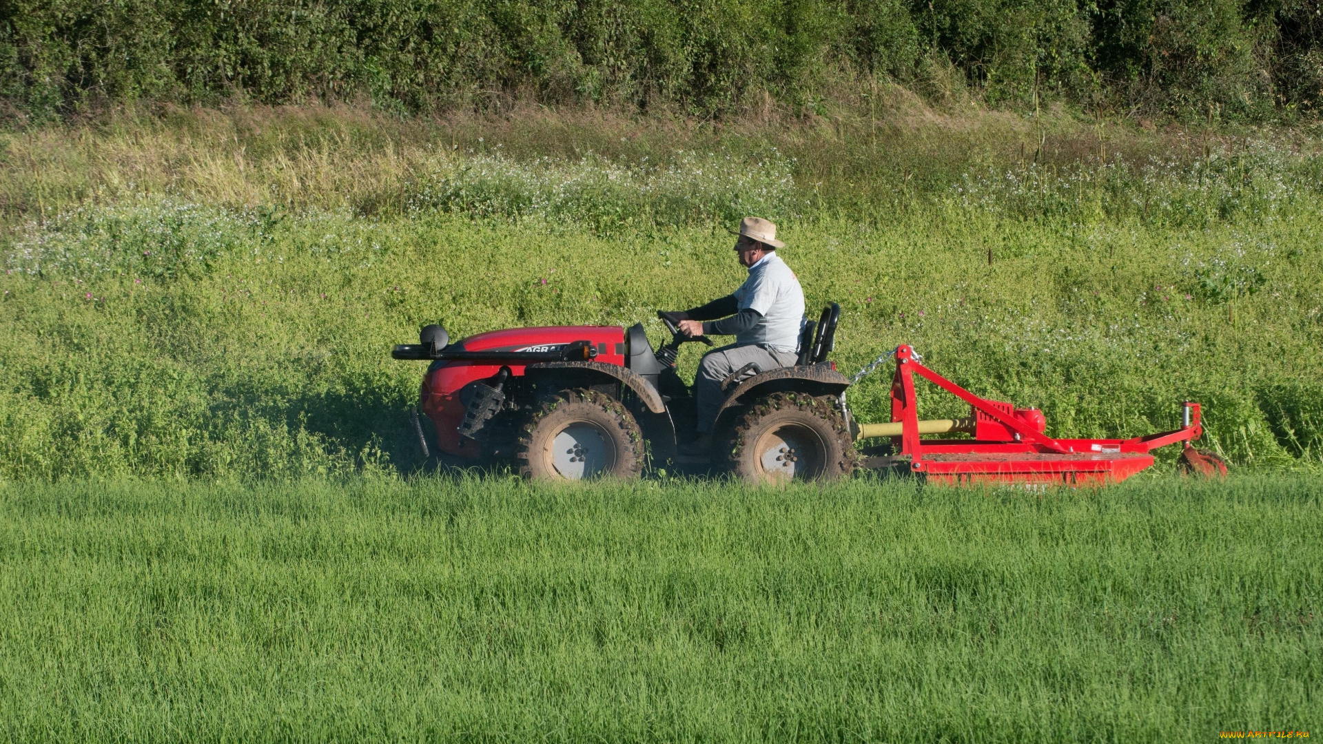 техника, тракторы, agrale