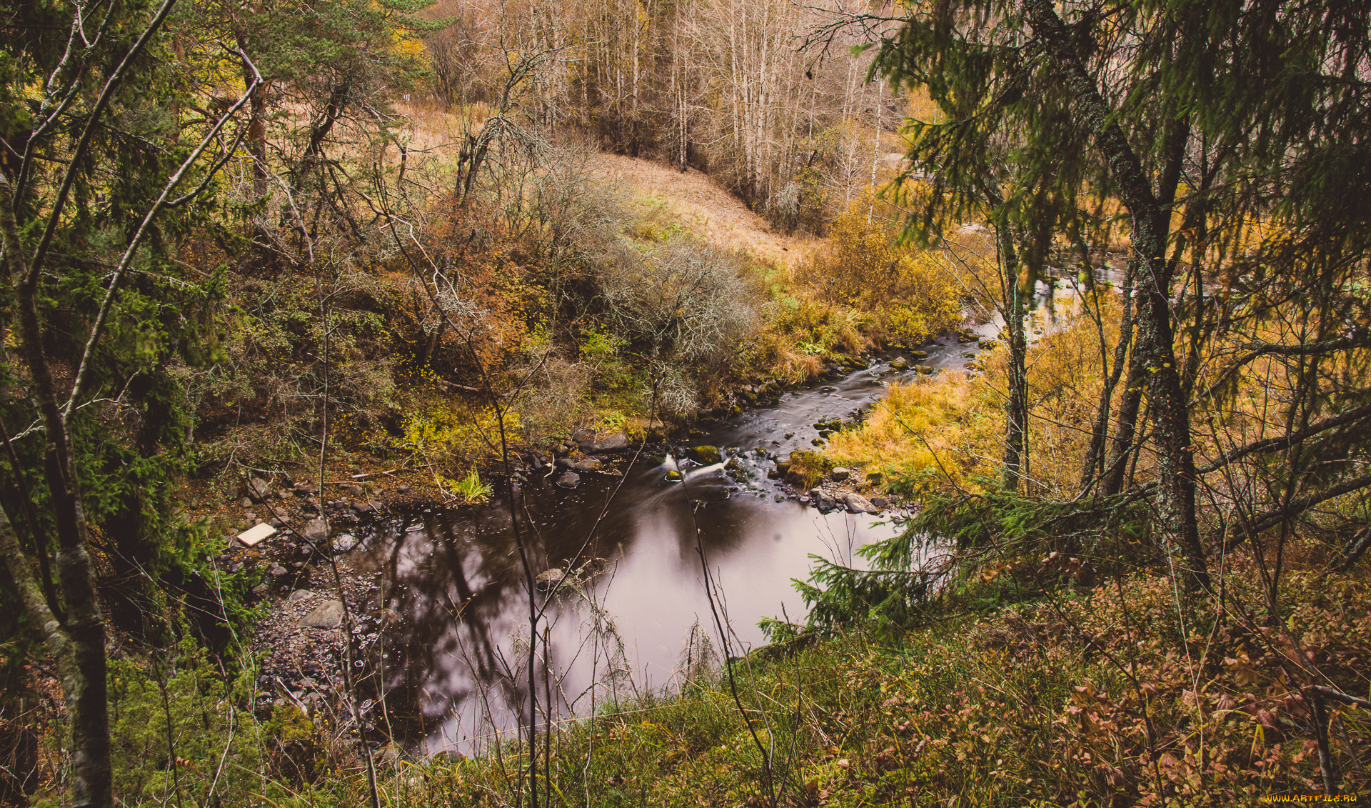 природа, реки, озера, простор