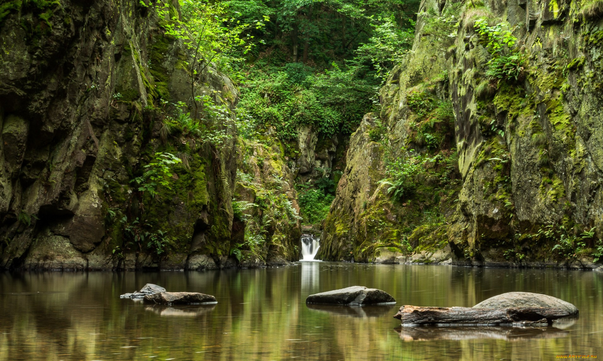 природа, реки, озера, простор