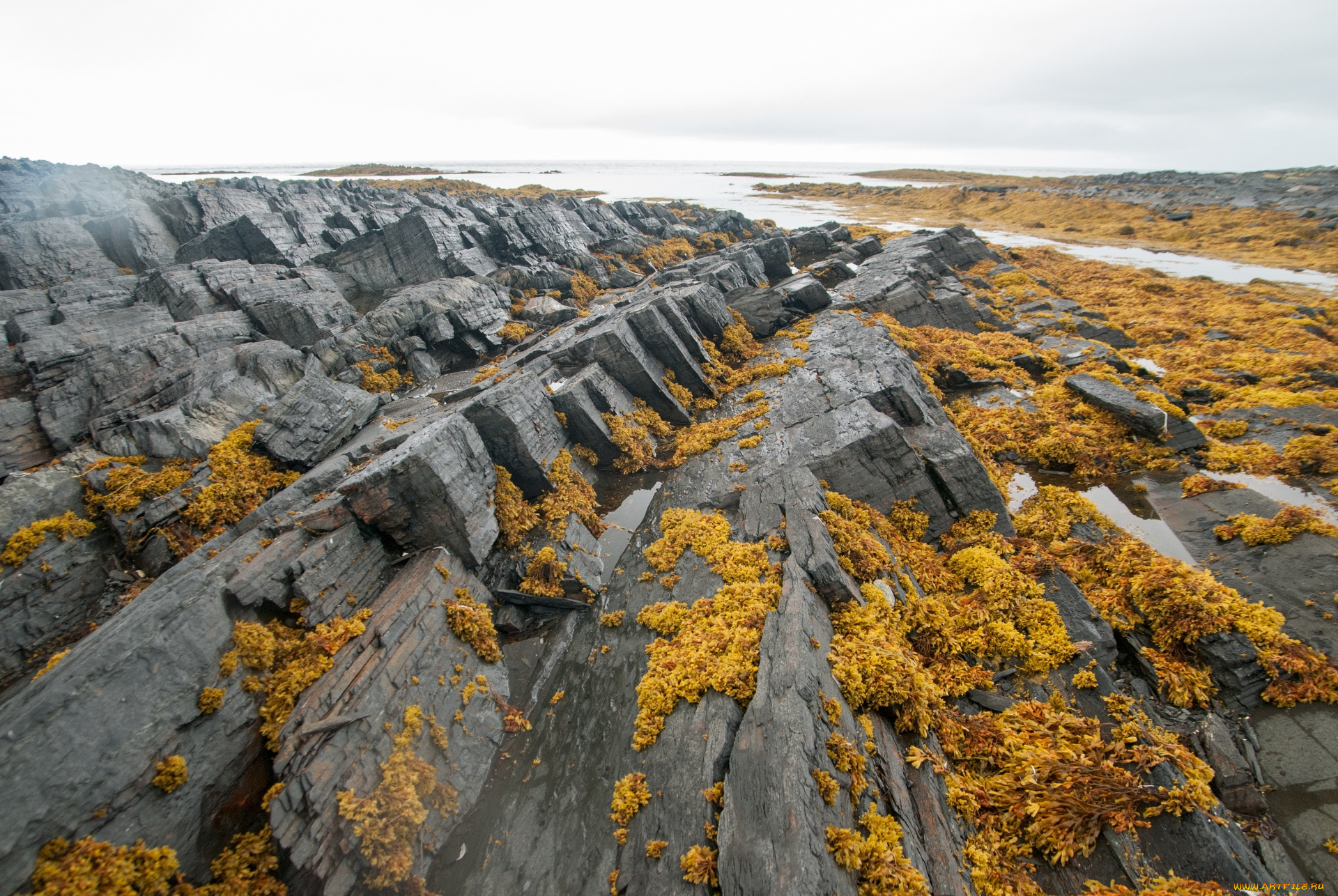 полуостров, рыбачий, природа, побережье, полуостров, рыбачий, россия, скалы
