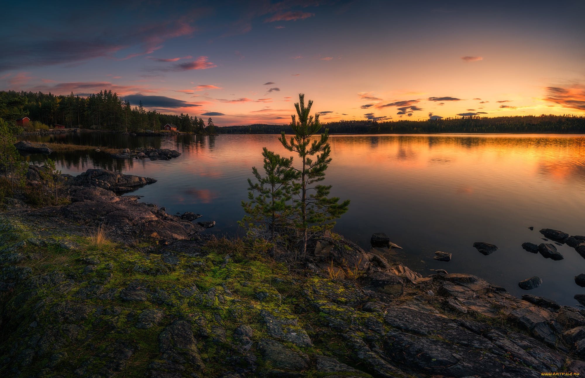 природа, восходы, закаты, two, trees, ringerike, norway, норвегия