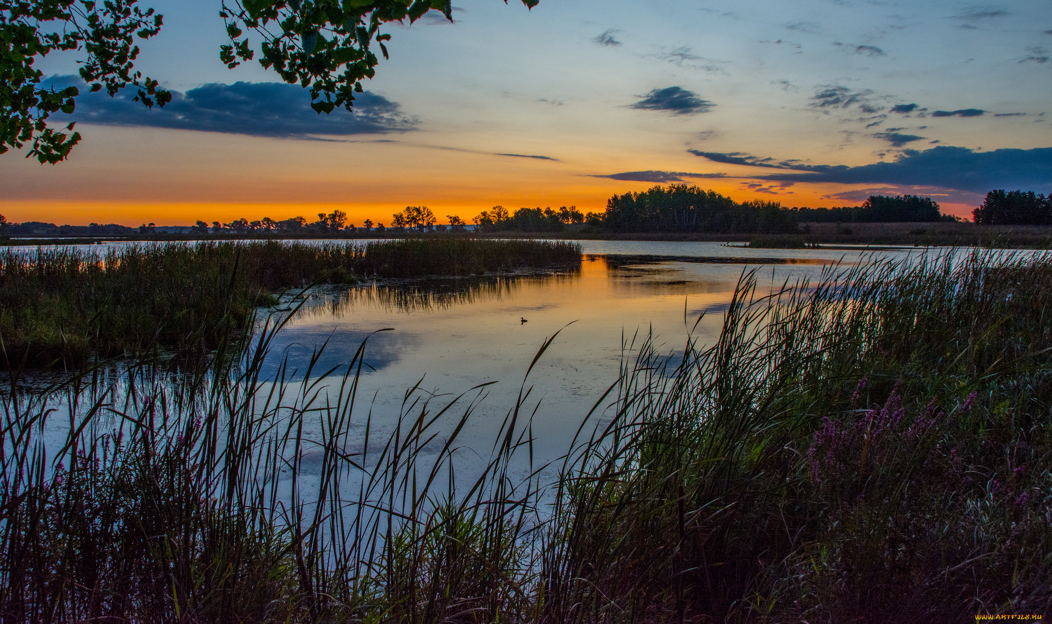 природа, реки, озера, простор