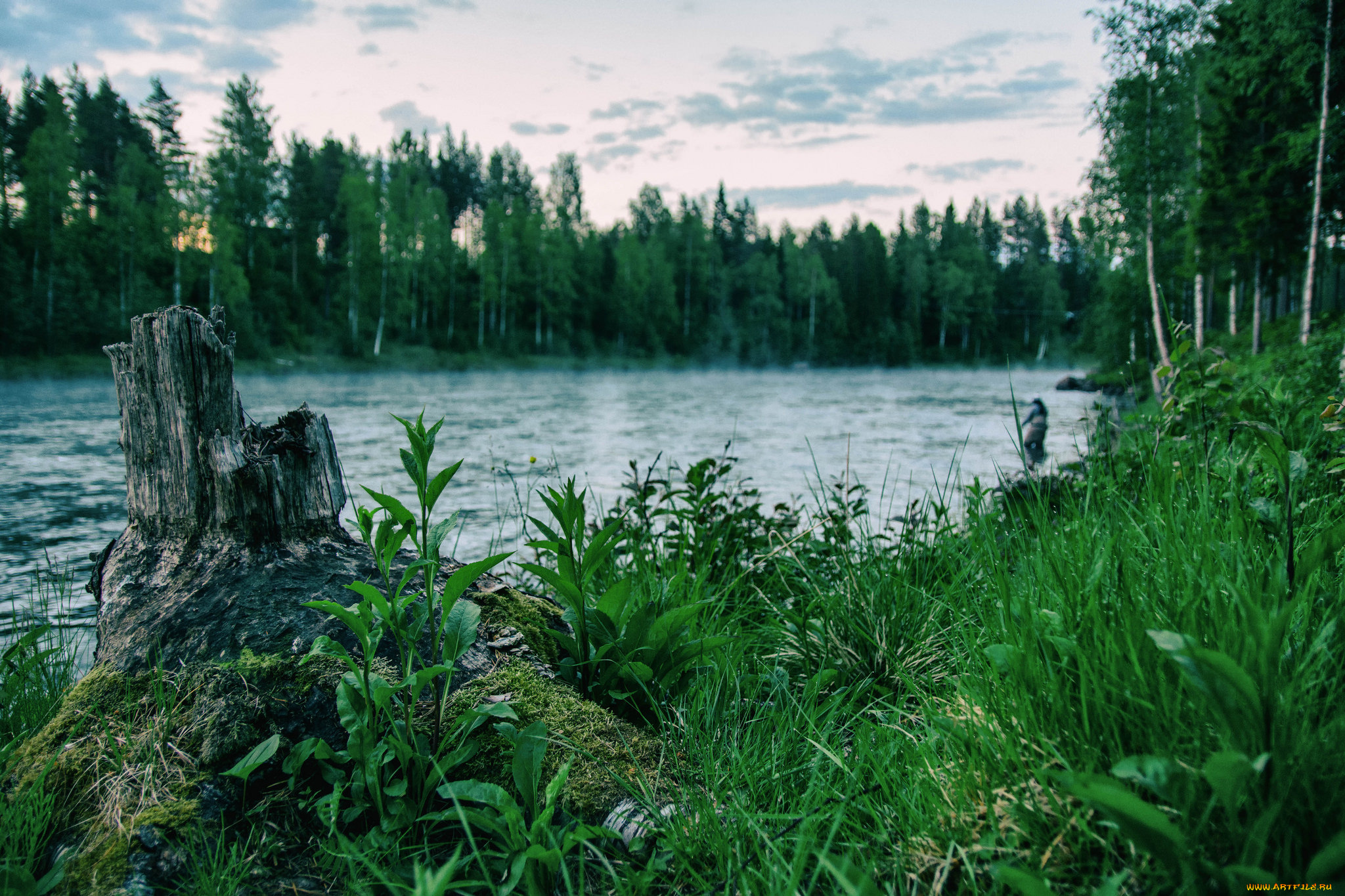 природа, реки, озера, простор