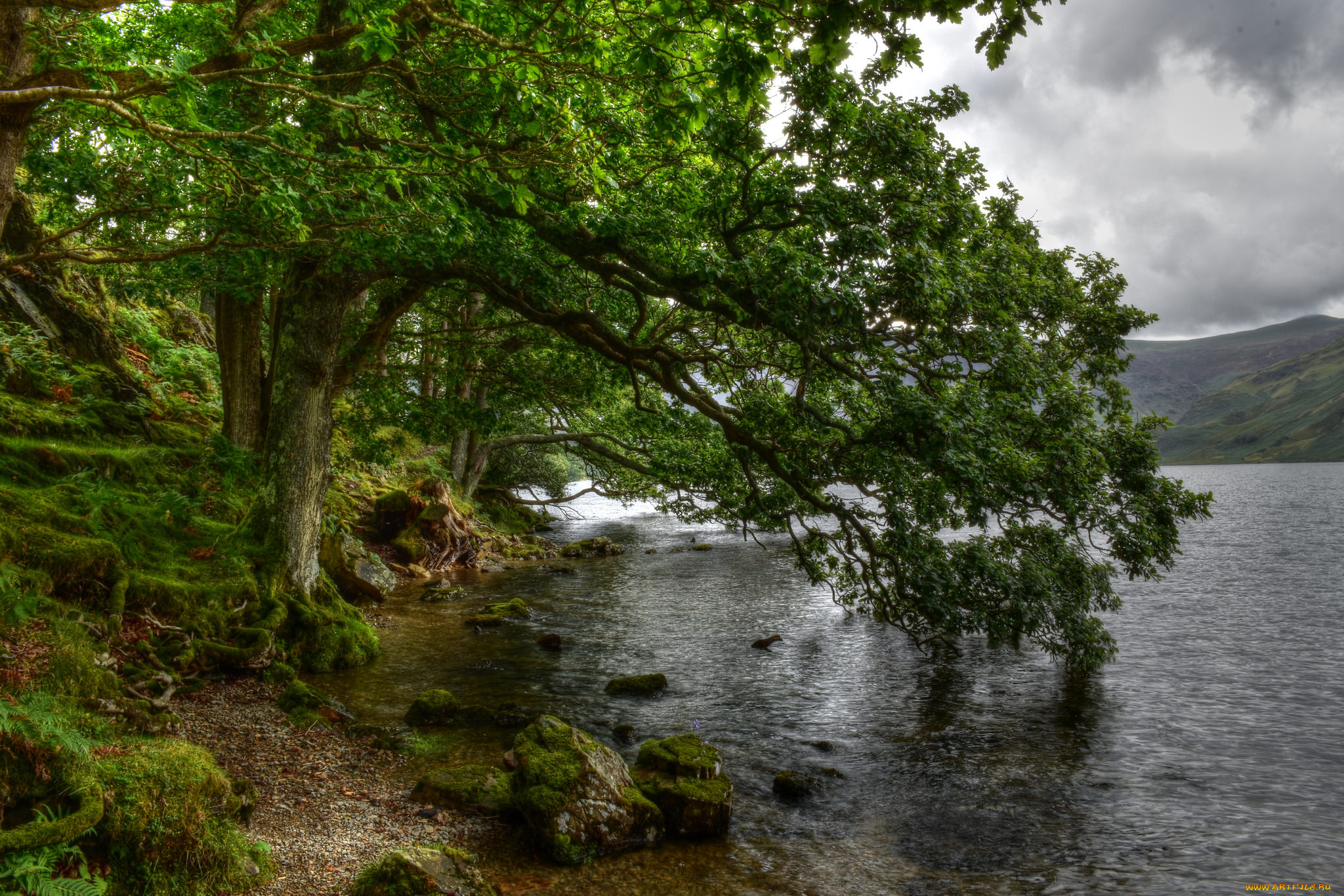 природа, реки, озера, простор