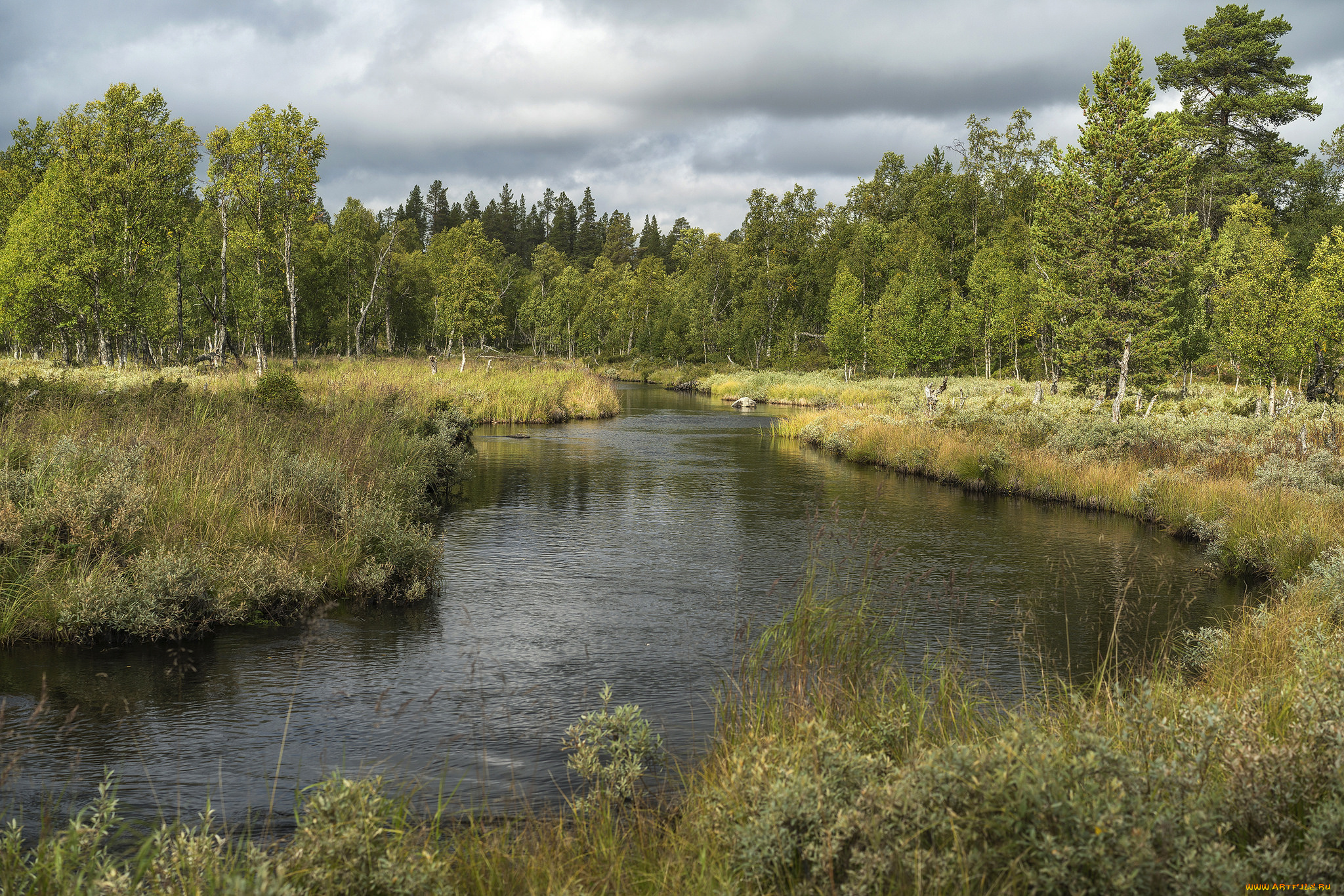 природа, реки, озера, простор