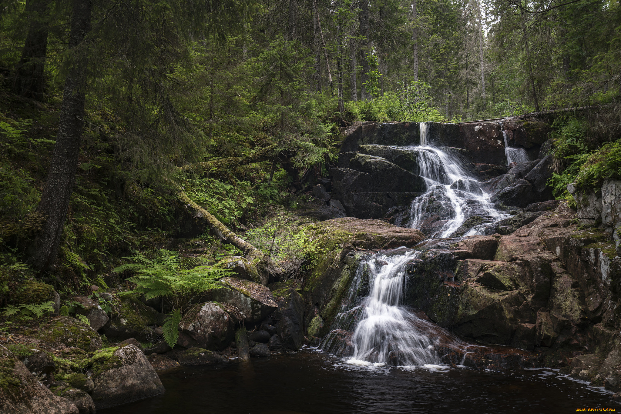 природа, реки, озера, простор