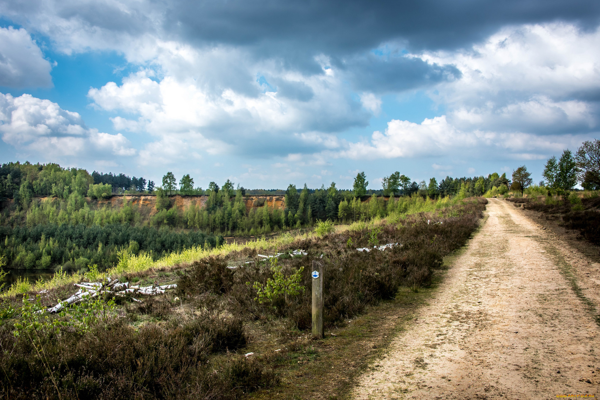 природа, дороги, простор