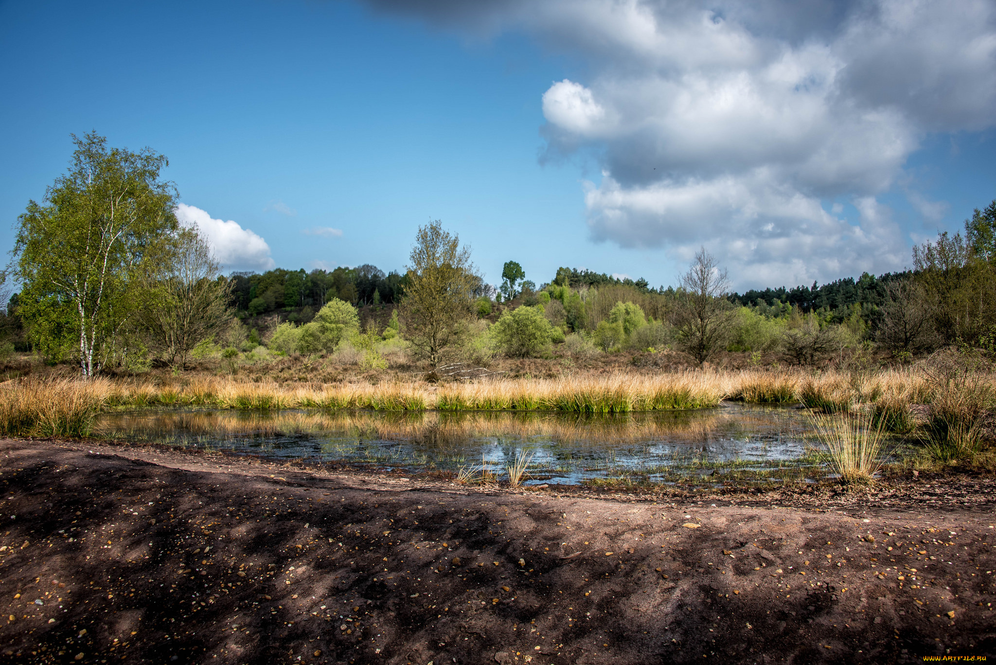 природа, реки, озера, простор