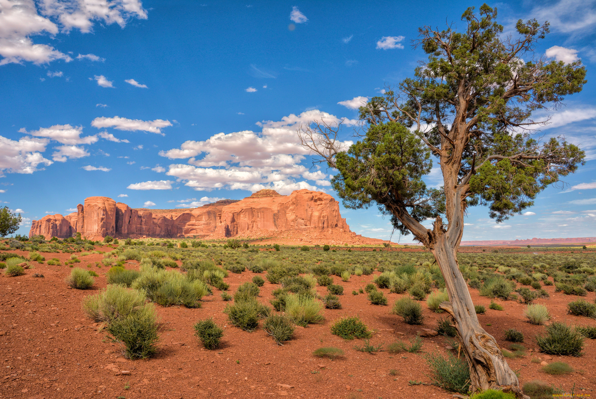природа, пустыни, простор