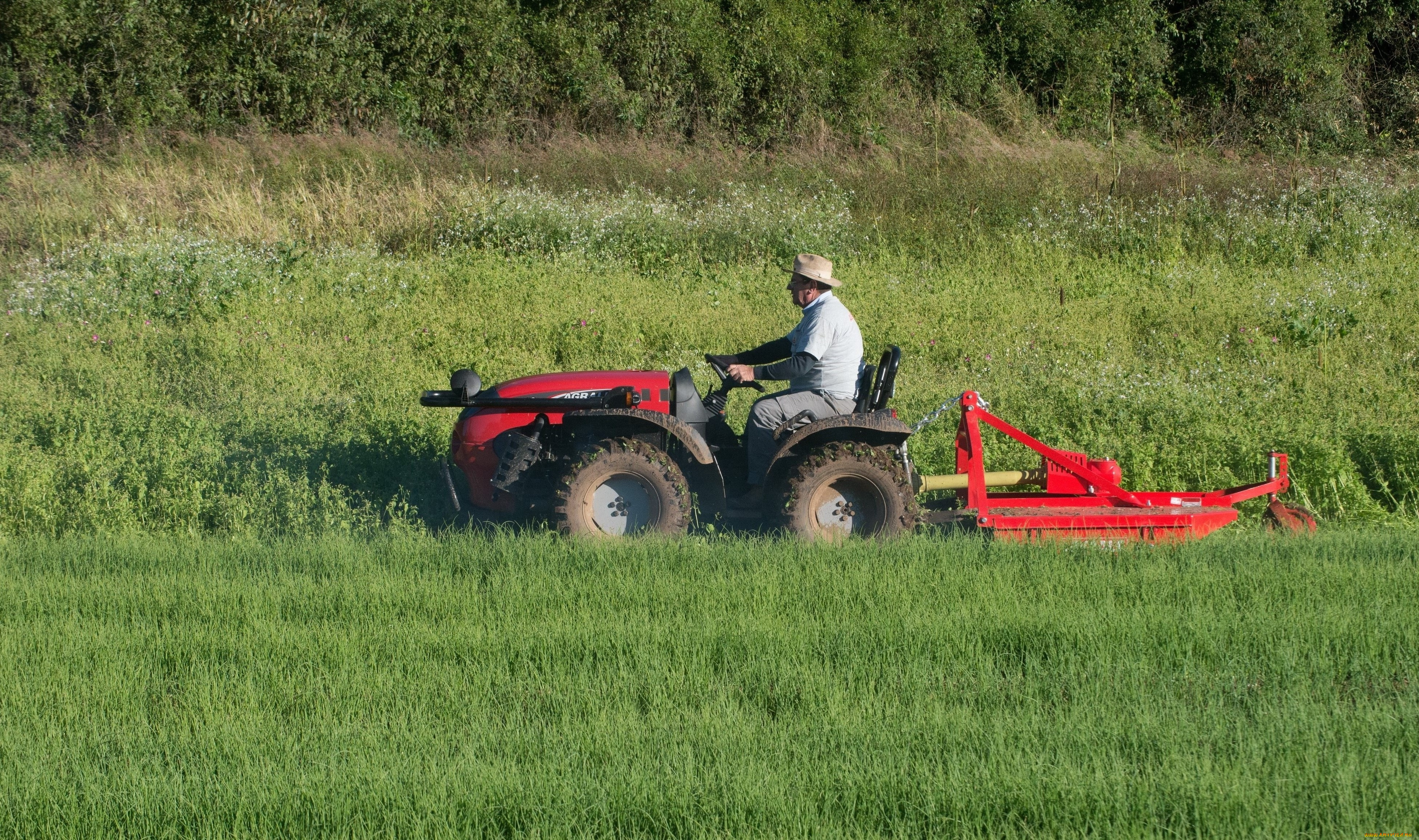 техника, тракторы, agrale