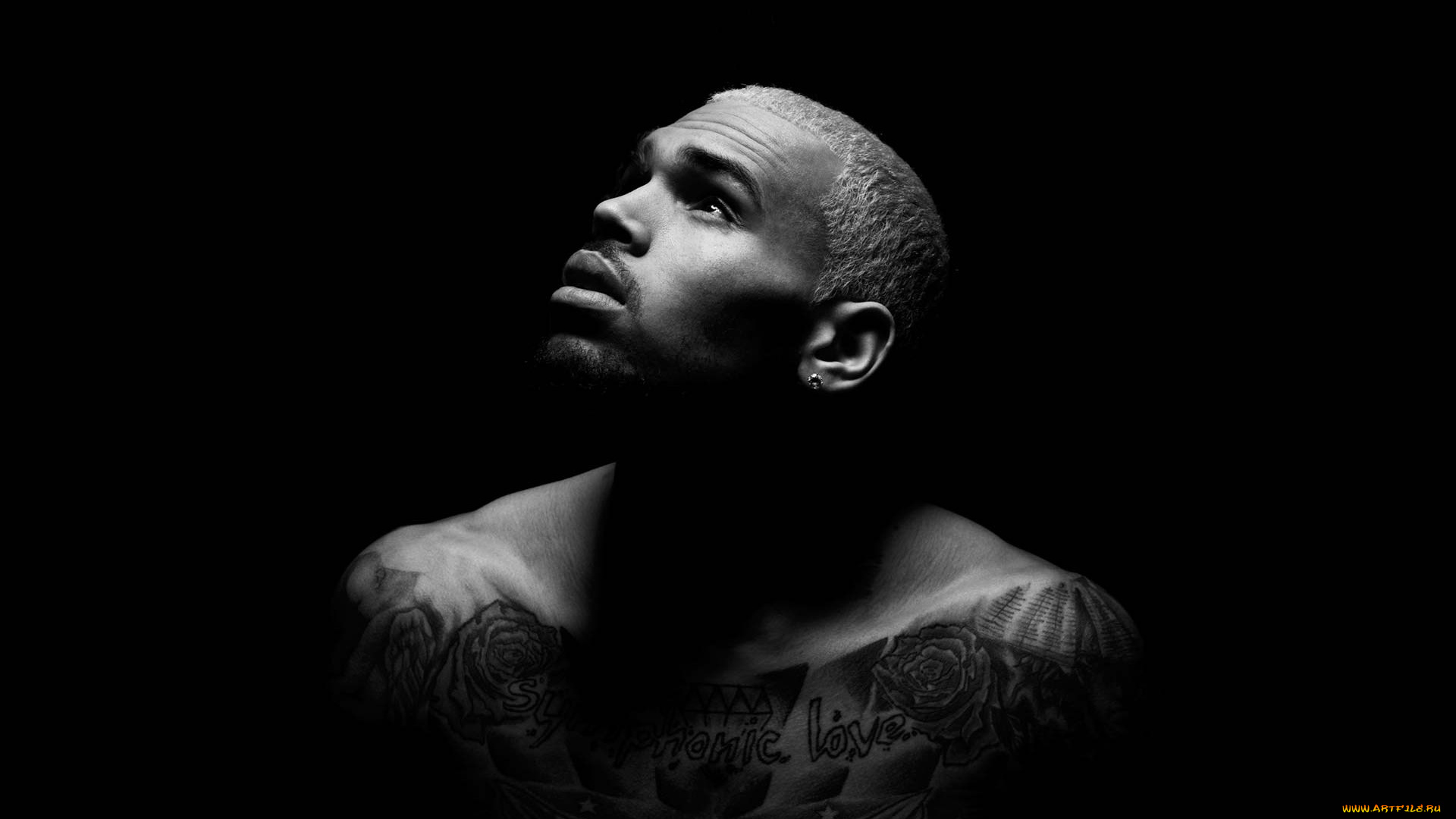 chris-brown, музыка, -временный, музыкант