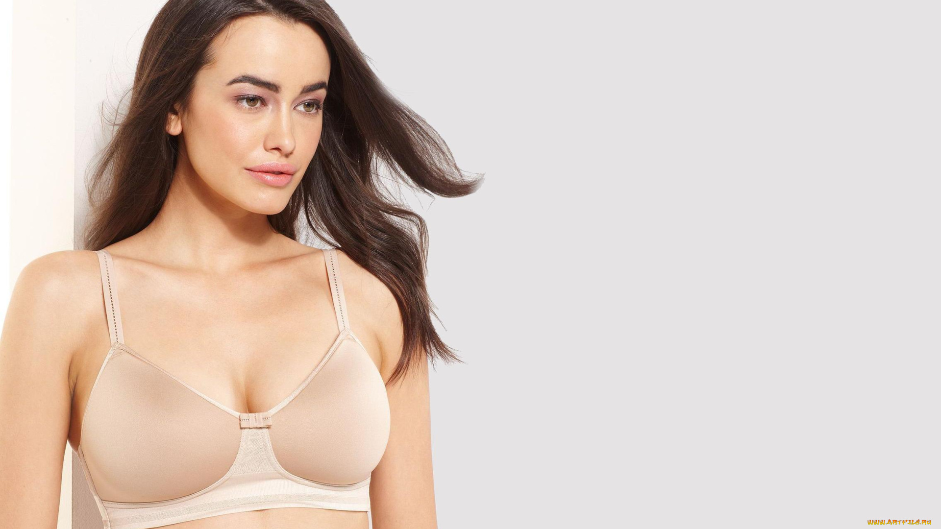 девушки, sarah, stephens, белье, бюстгальтер, шатенка, модель