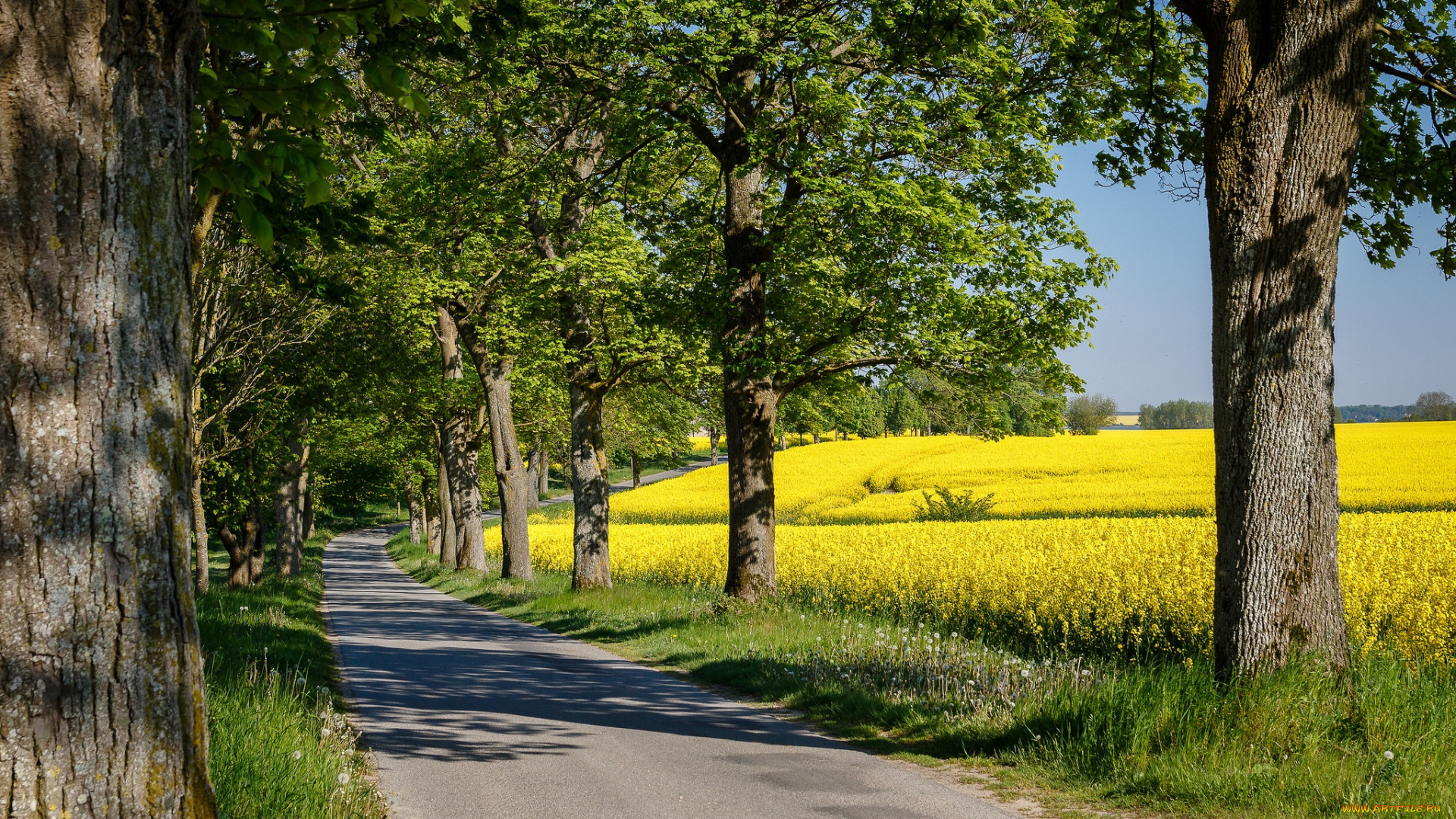 природа, дороги, простор
