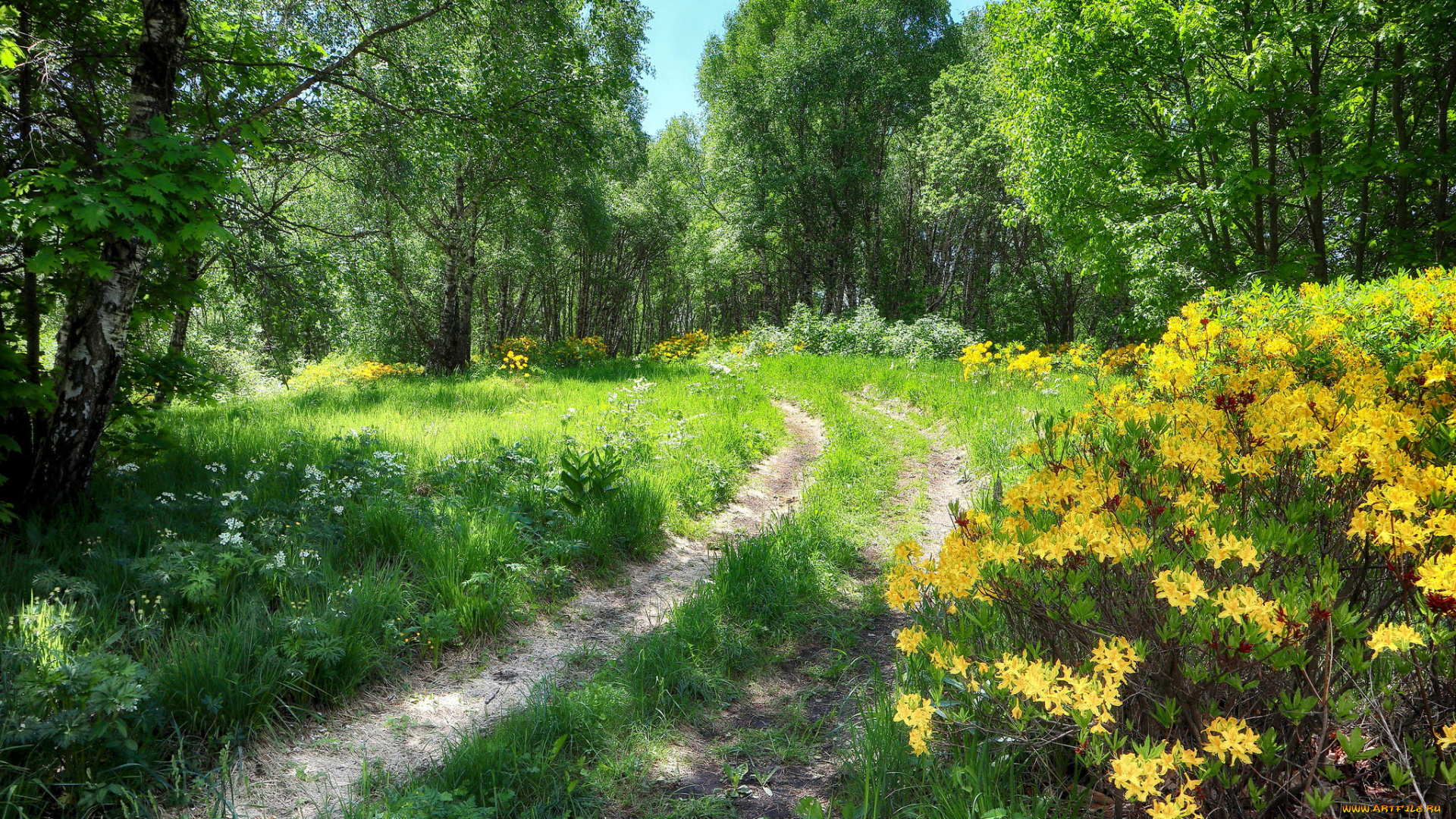 природа, дороги, простор